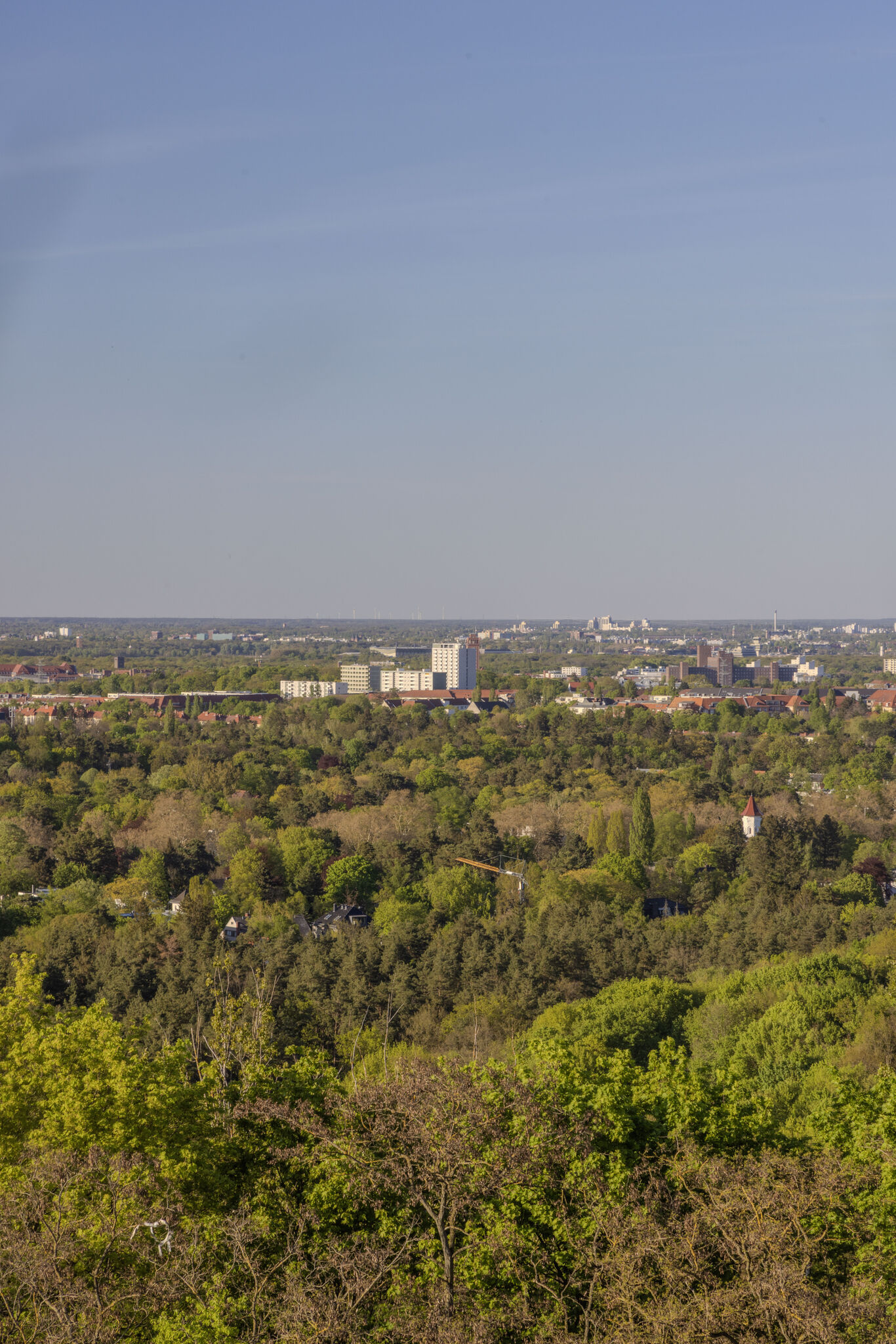 Large image