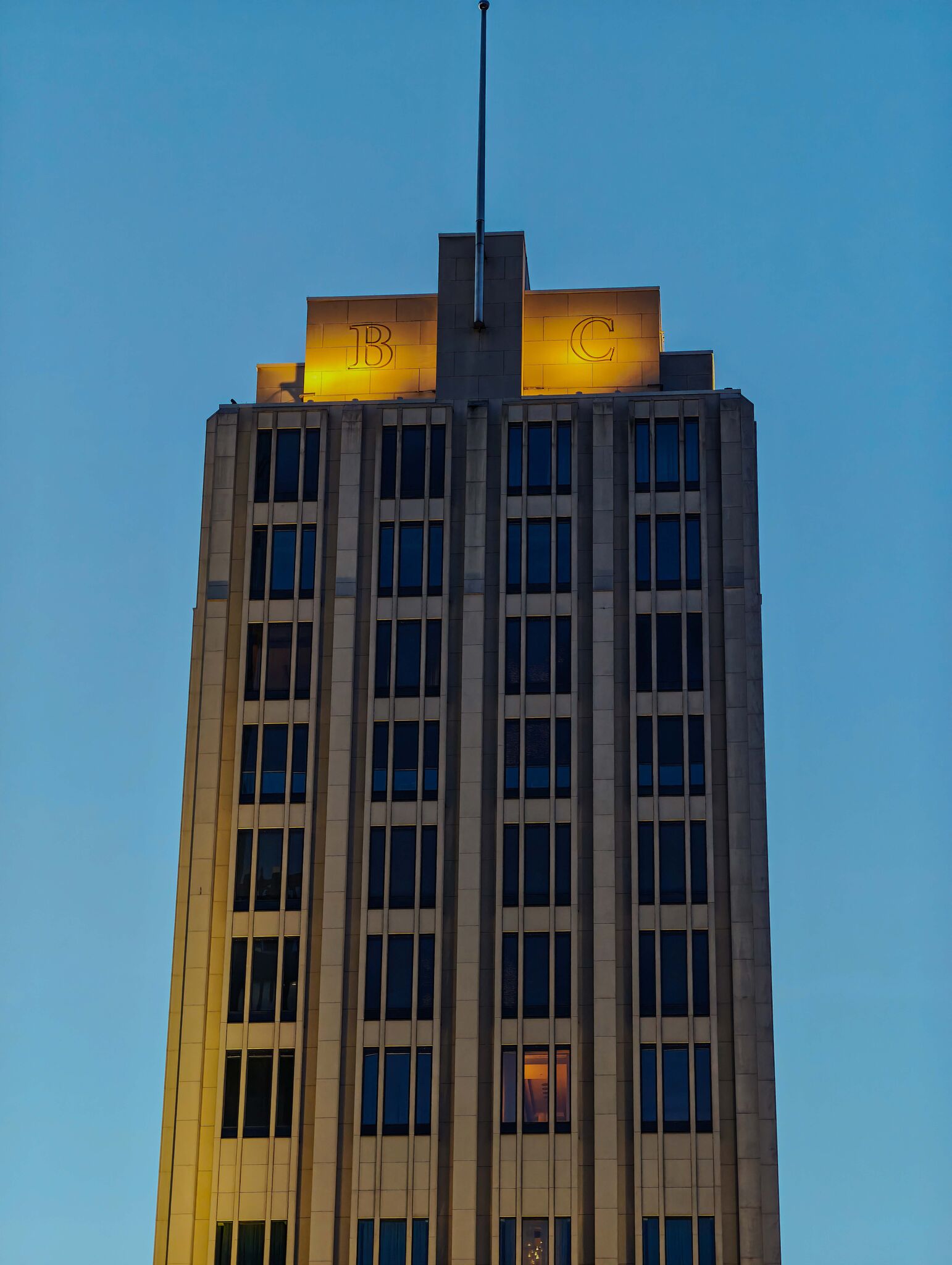 Large image