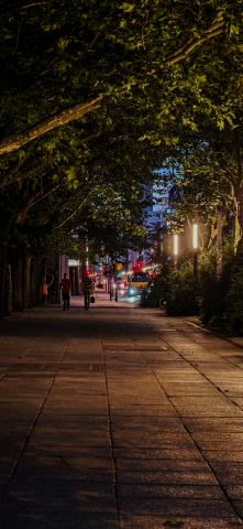 Photograph by Scott Joyce