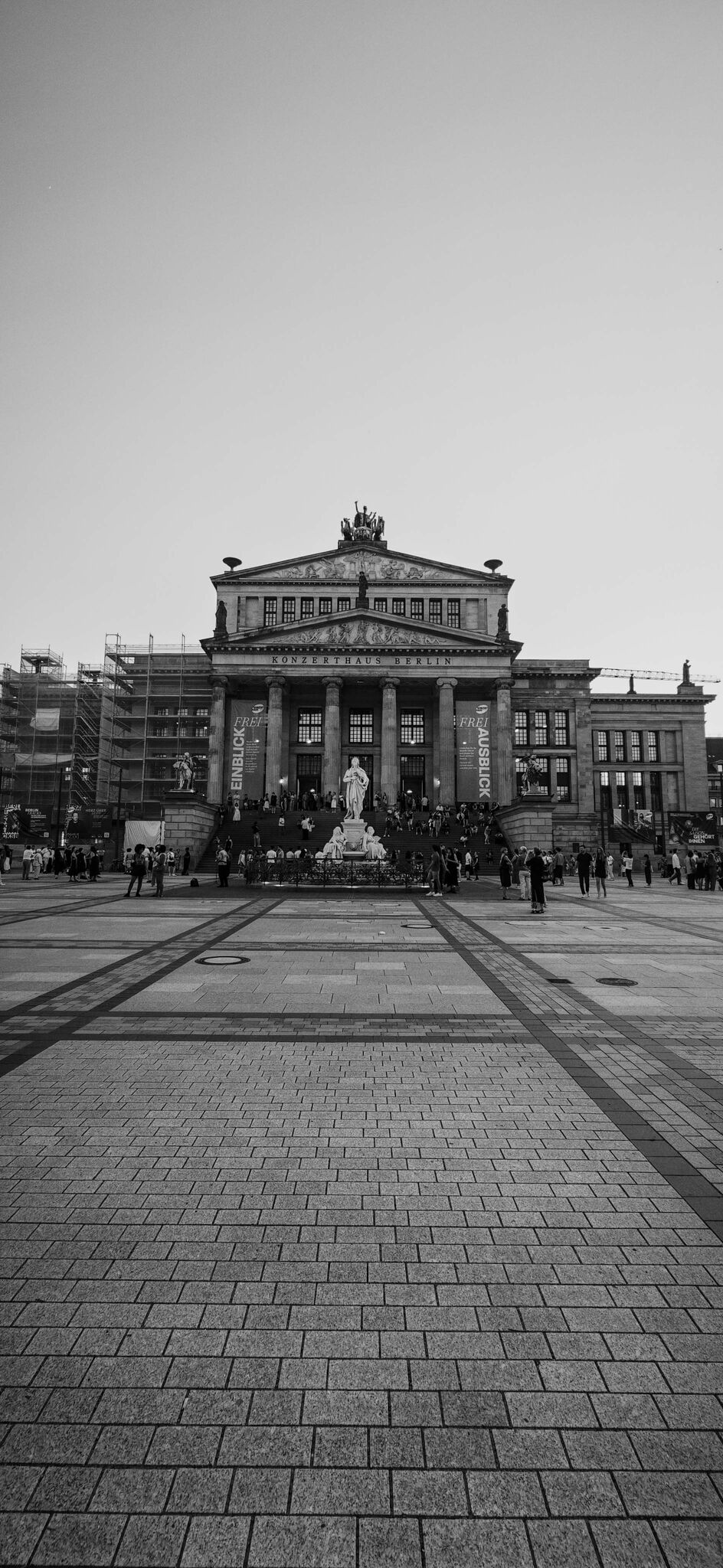 Large image