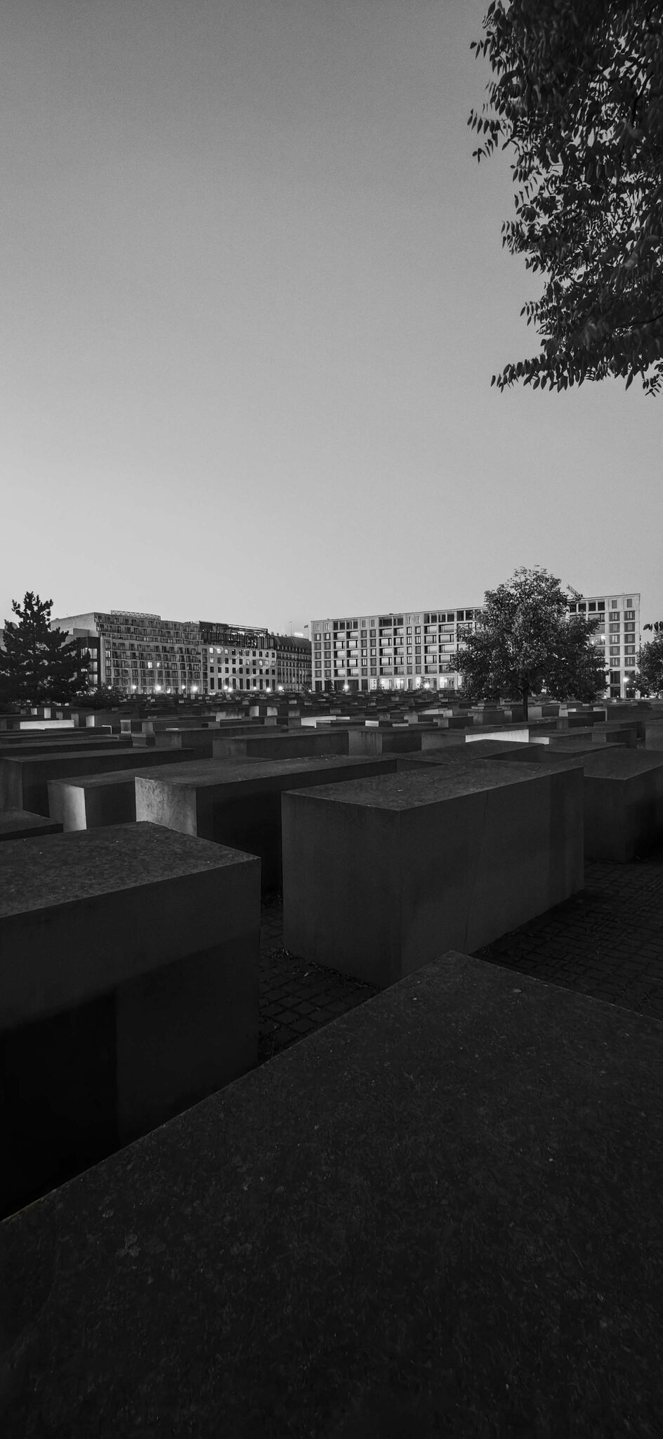 Large image