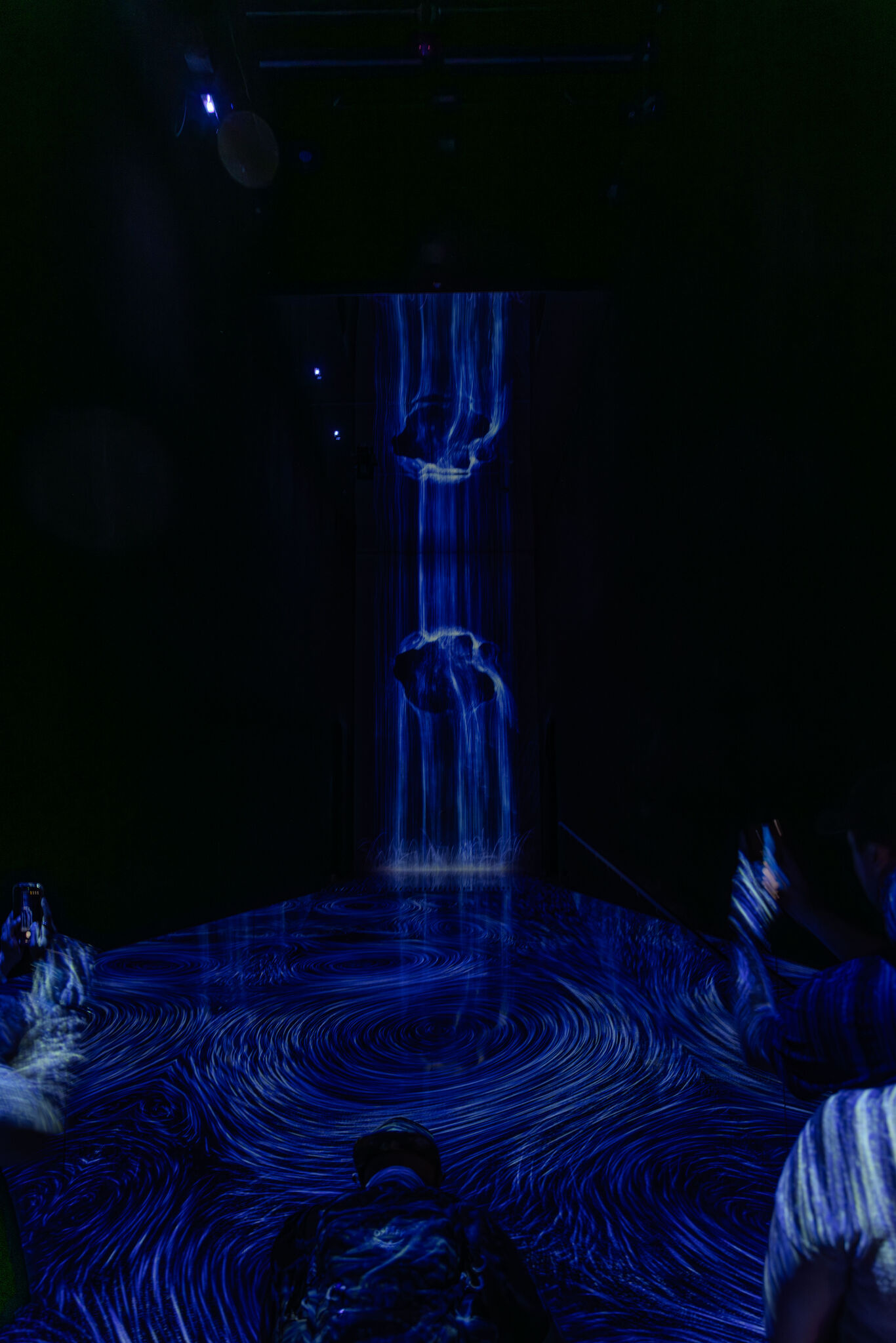Large image