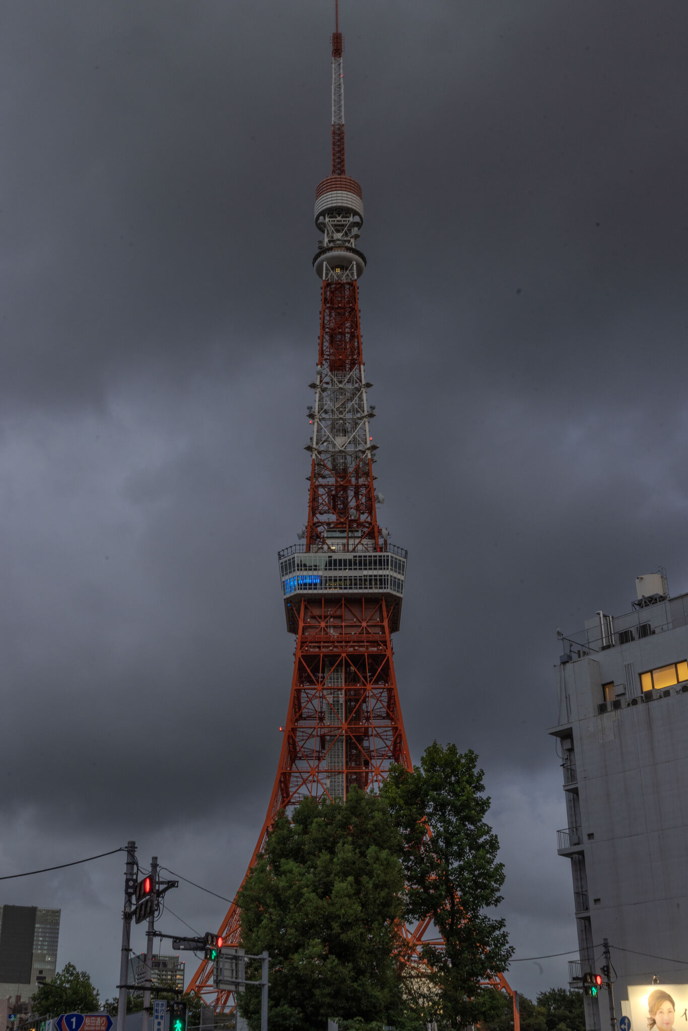 Large image