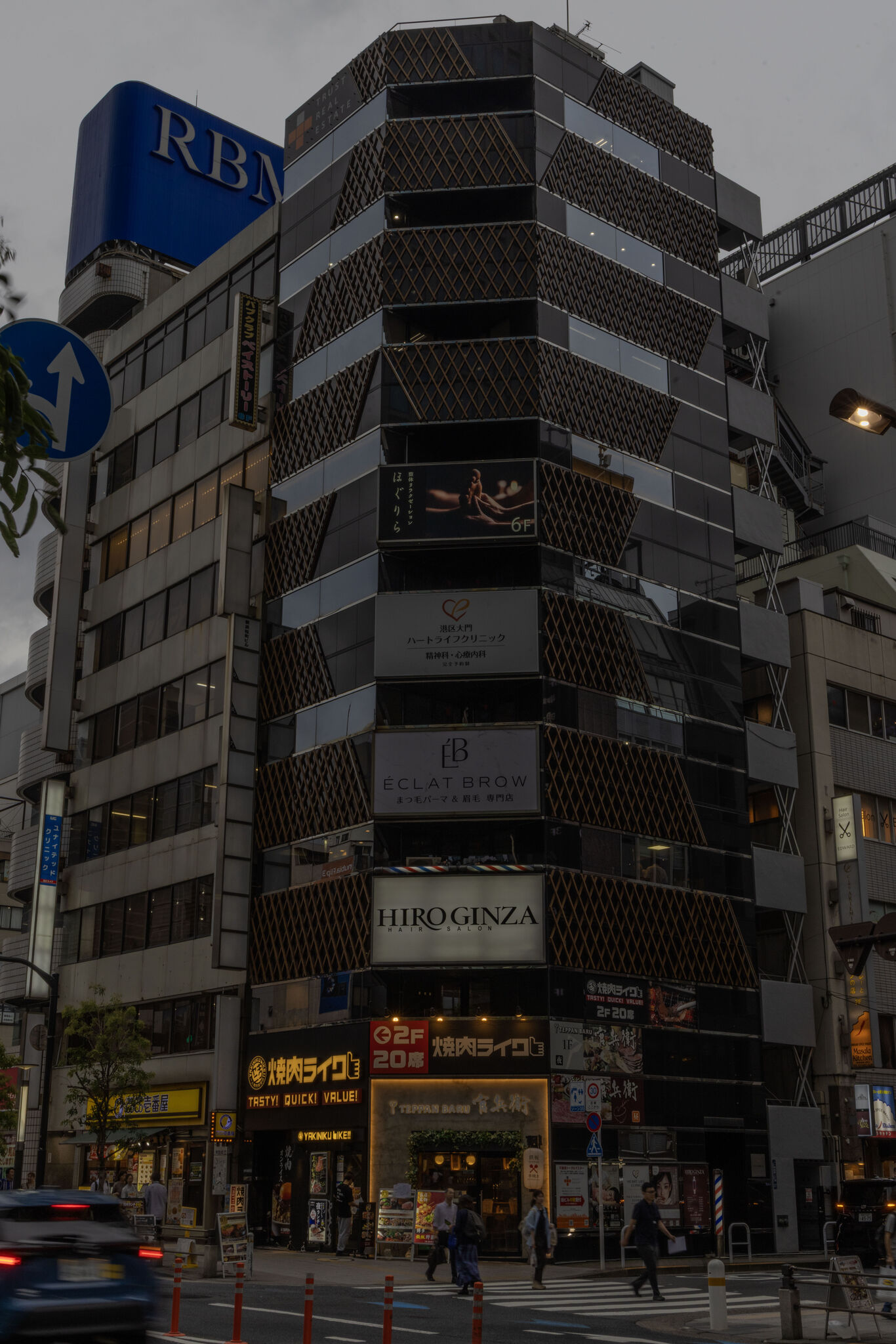 Large image