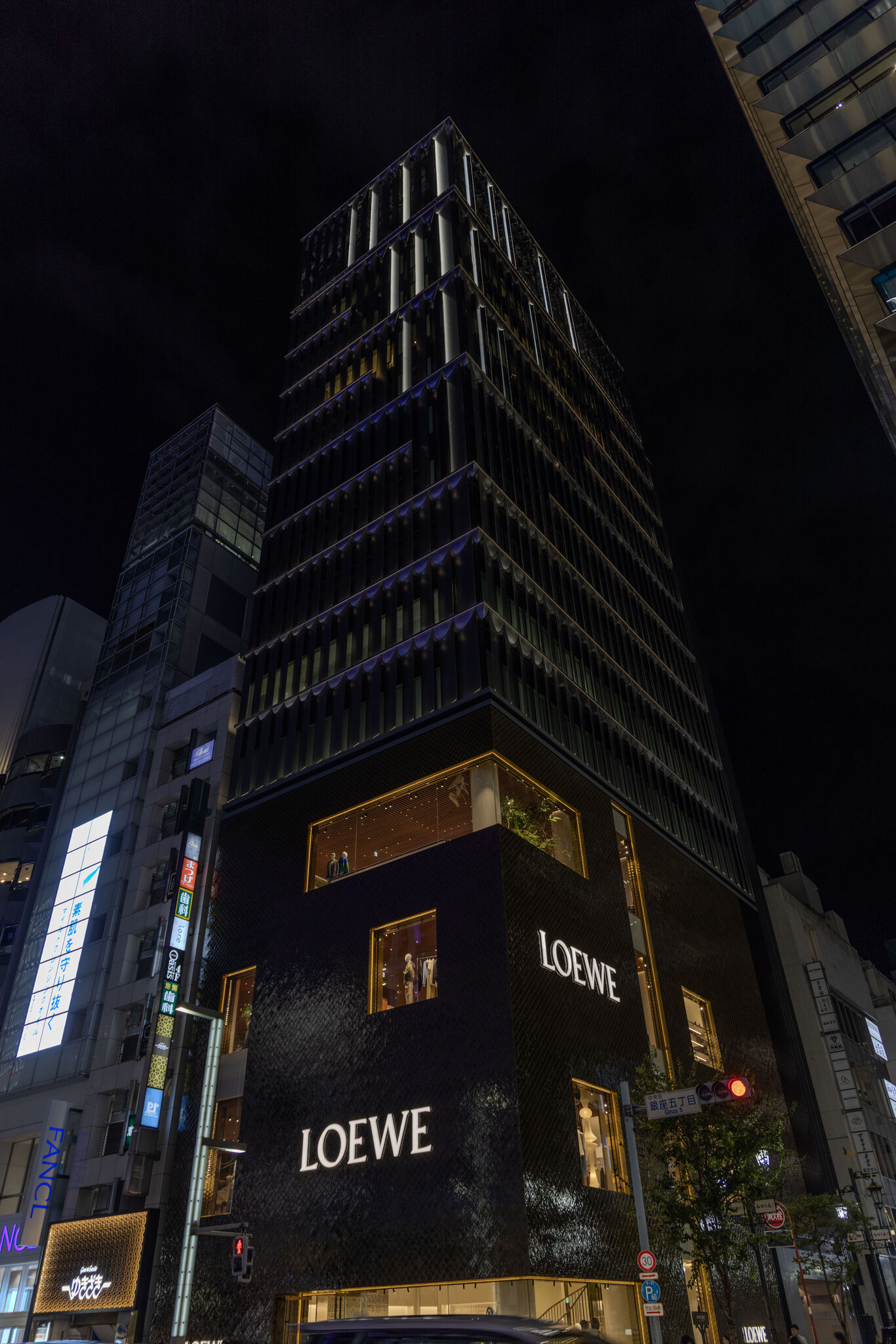 Large image