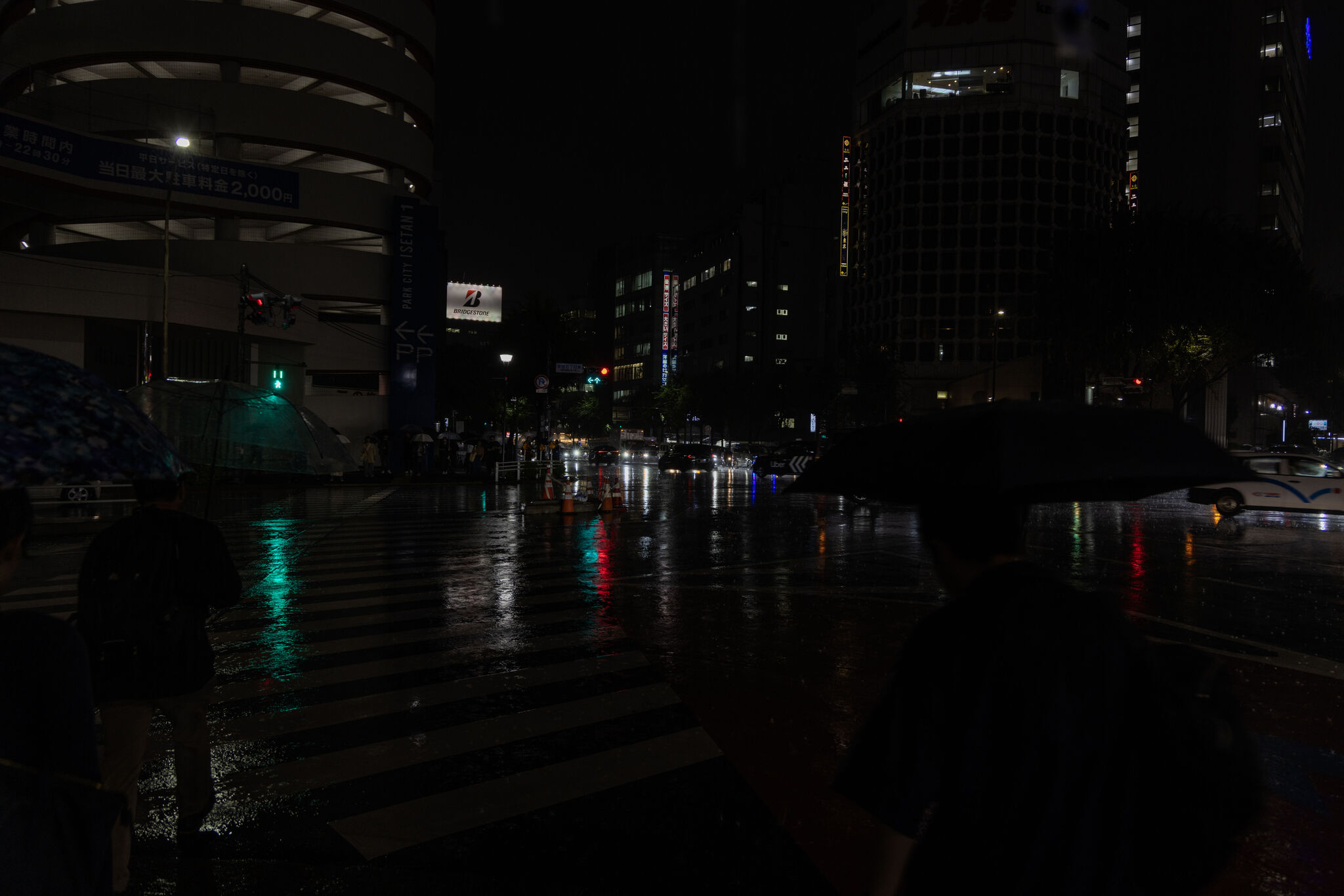 Large image
