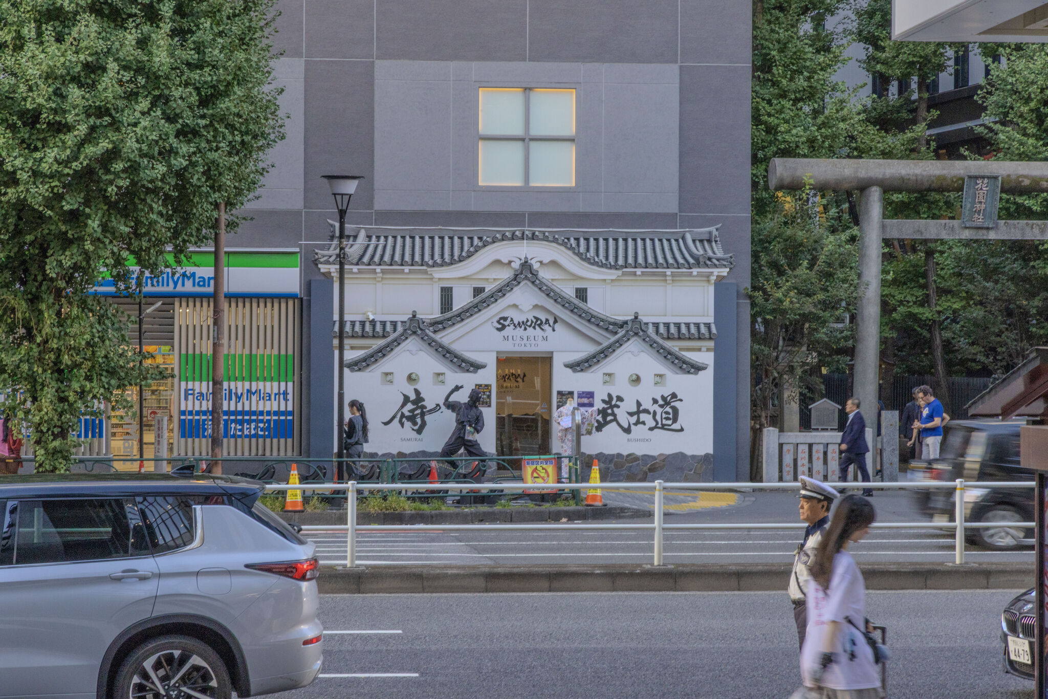 Large image