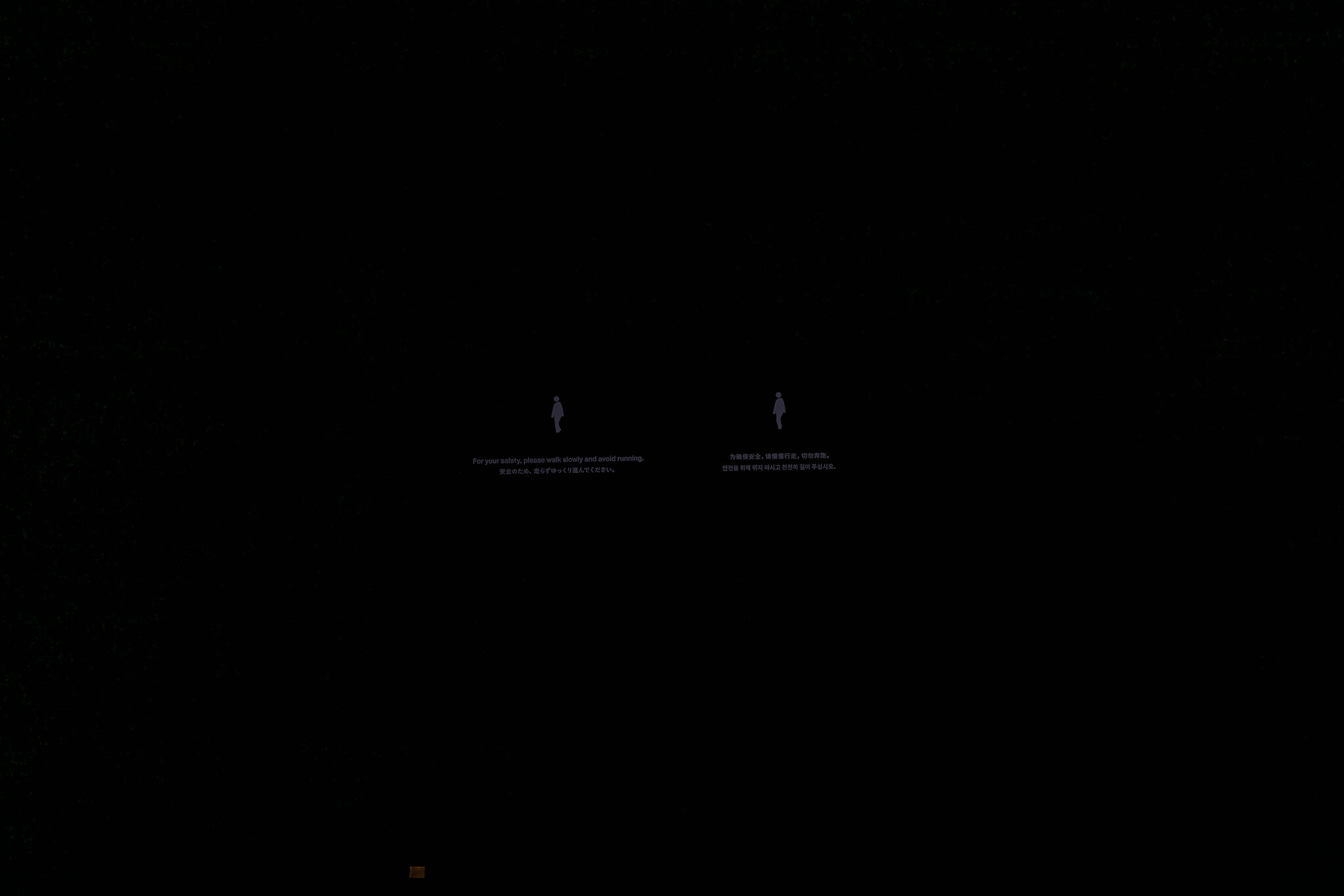 Large image