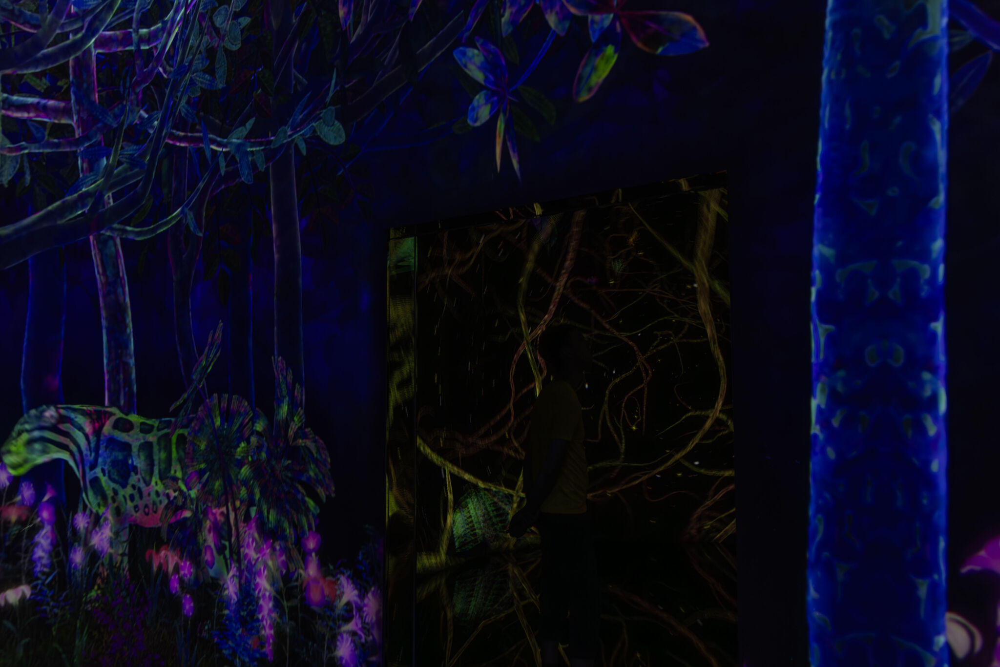Large image