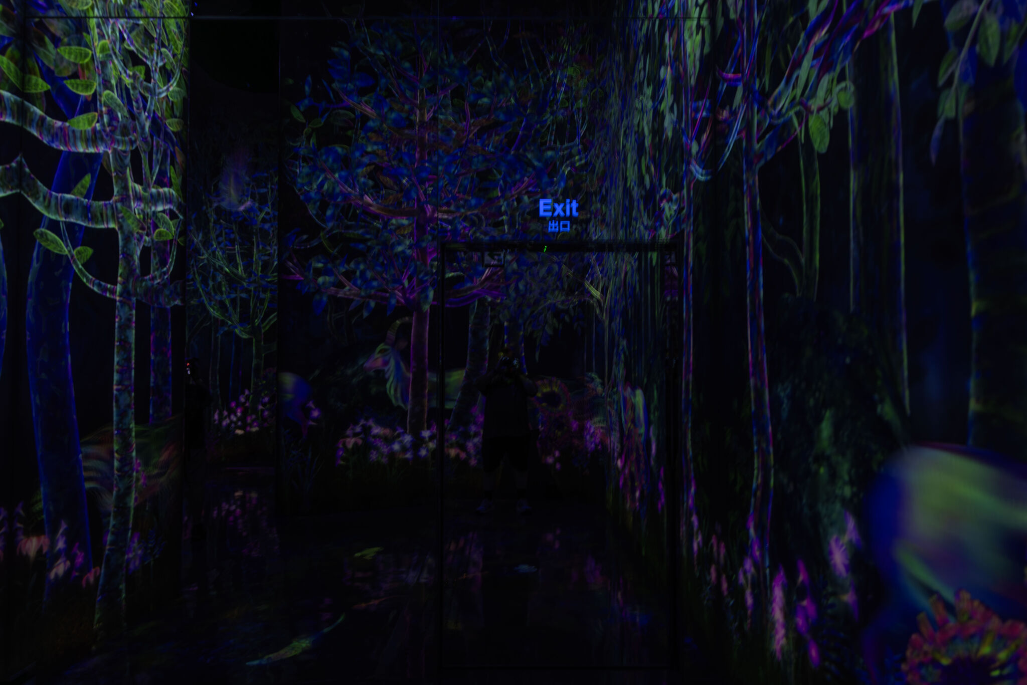 Large image