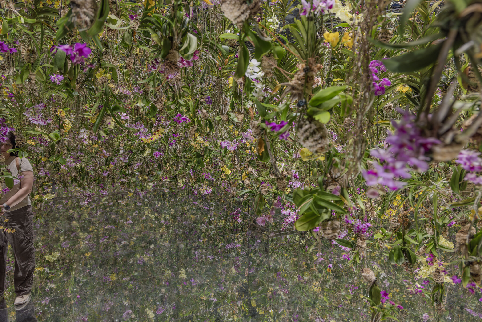 Large image