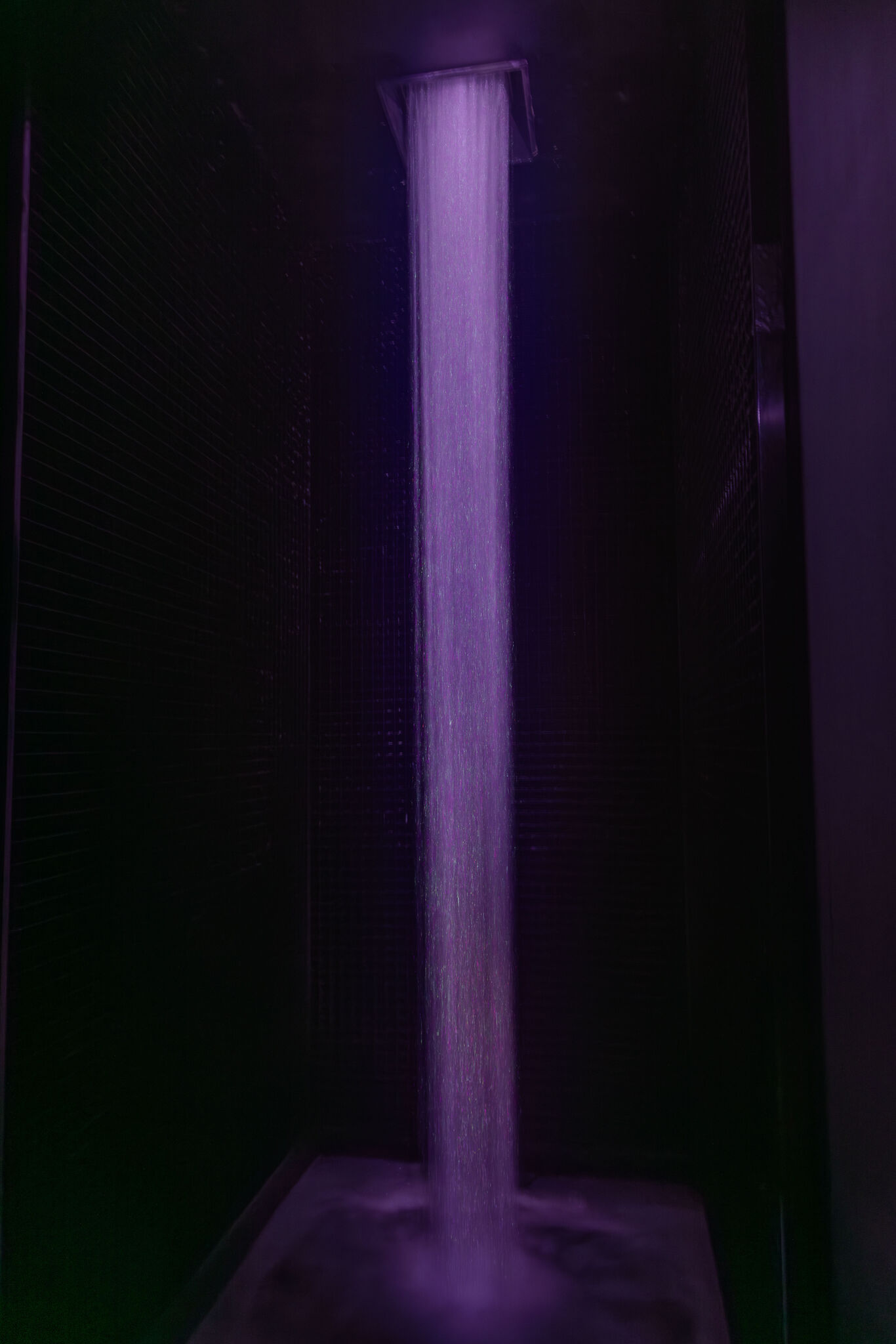 Large image