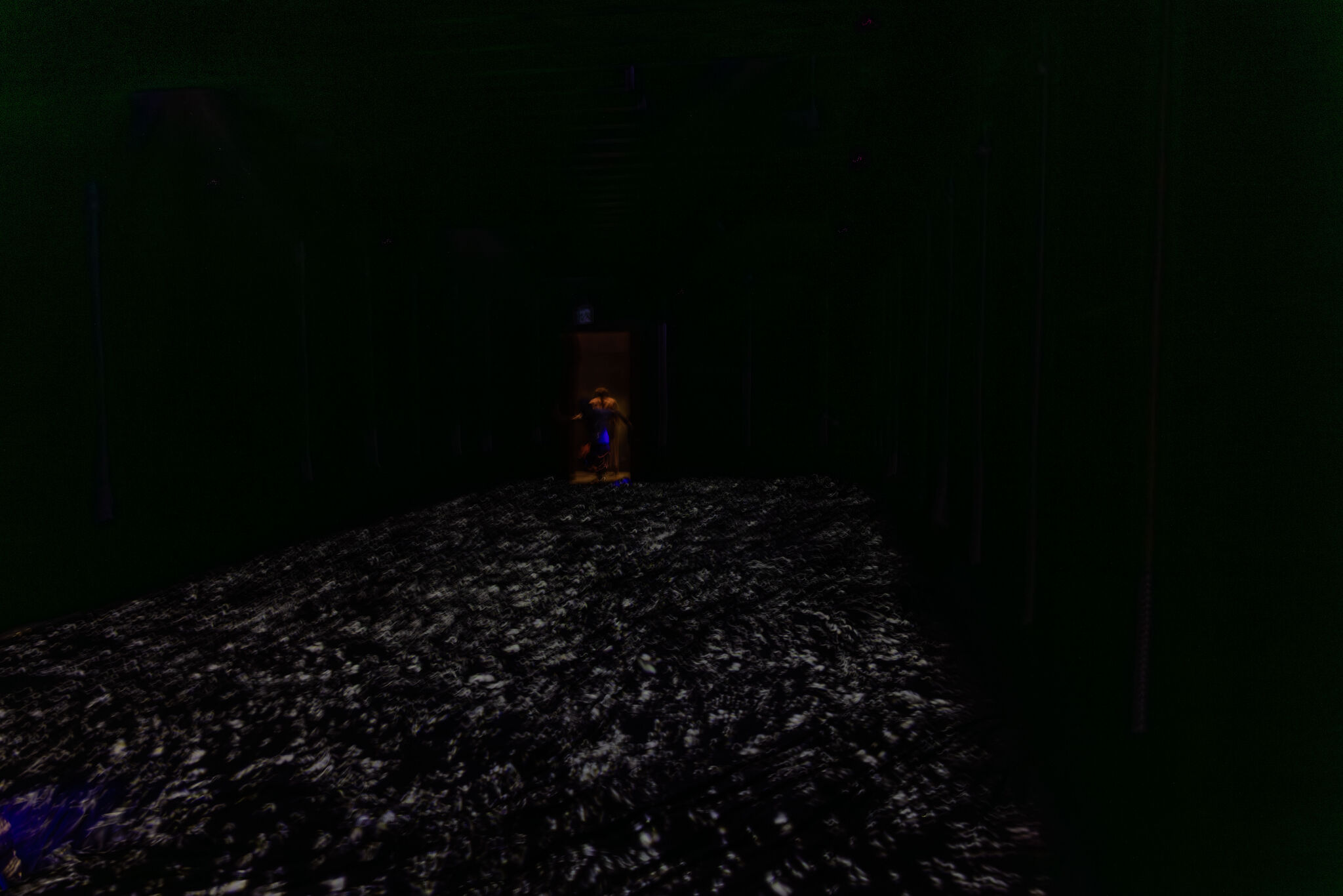 Large image