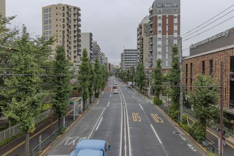 Photograph by Scott Joyce