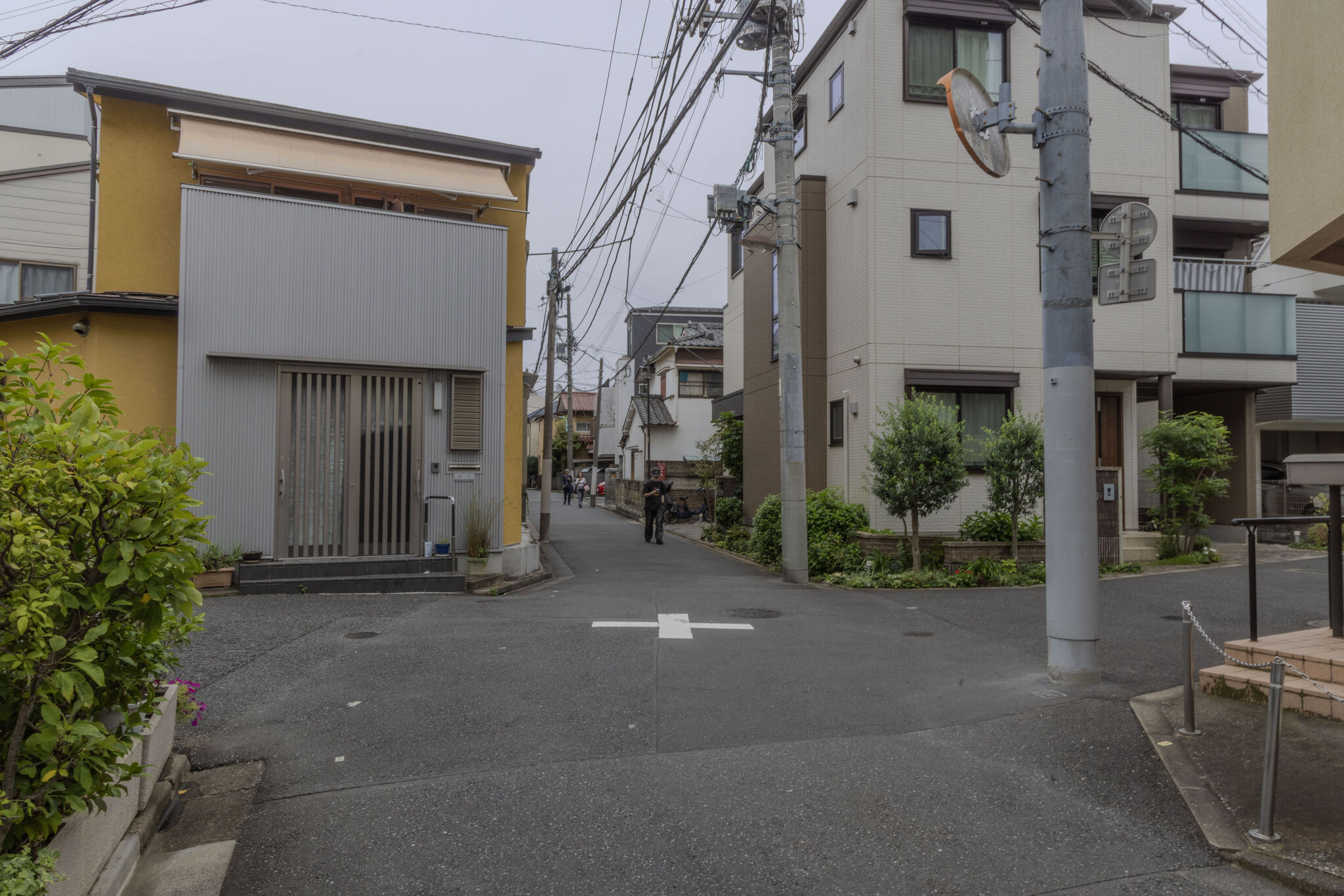 Large image