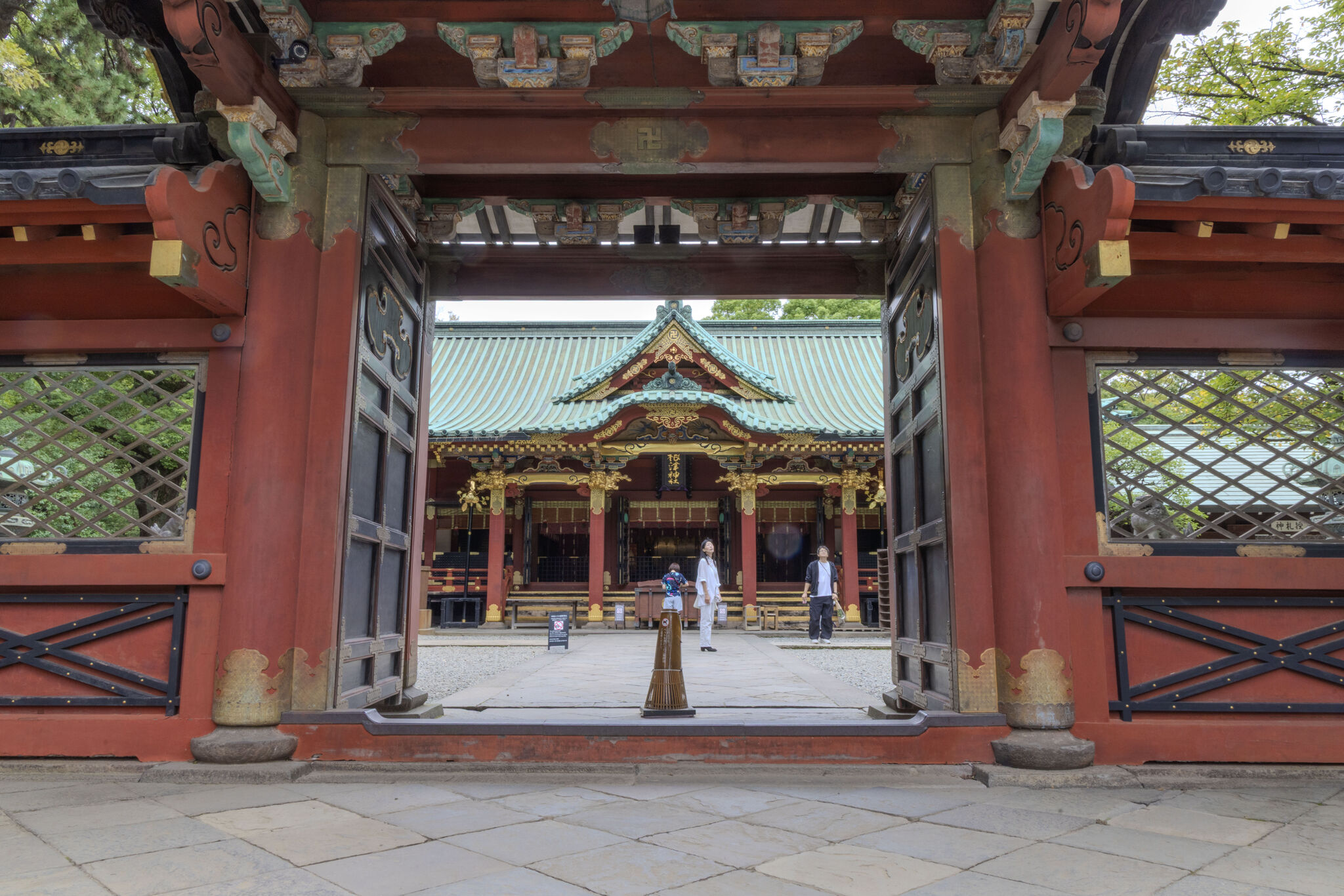 Large image