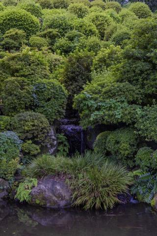 Photograph by Scott Joyce