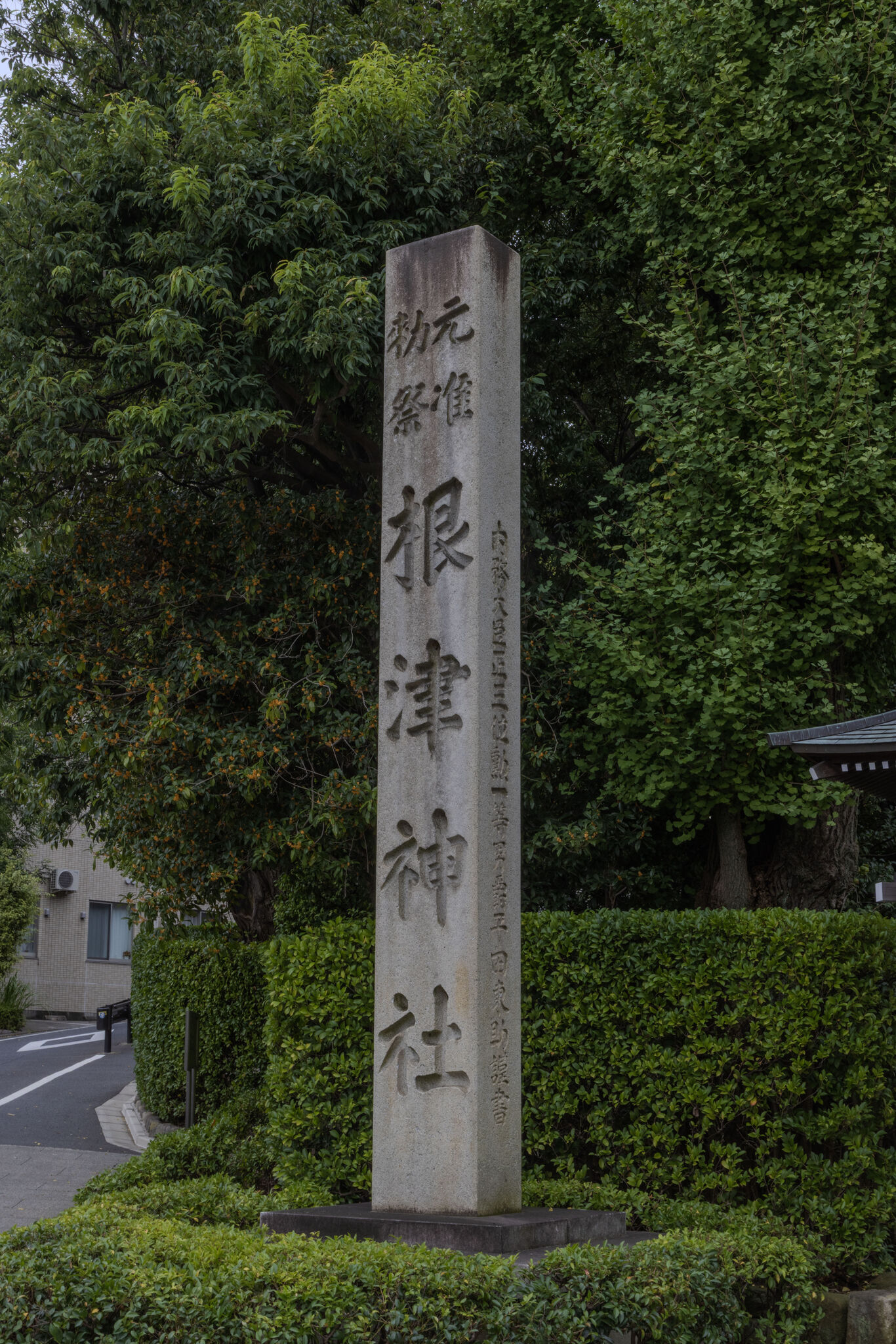 Large image
