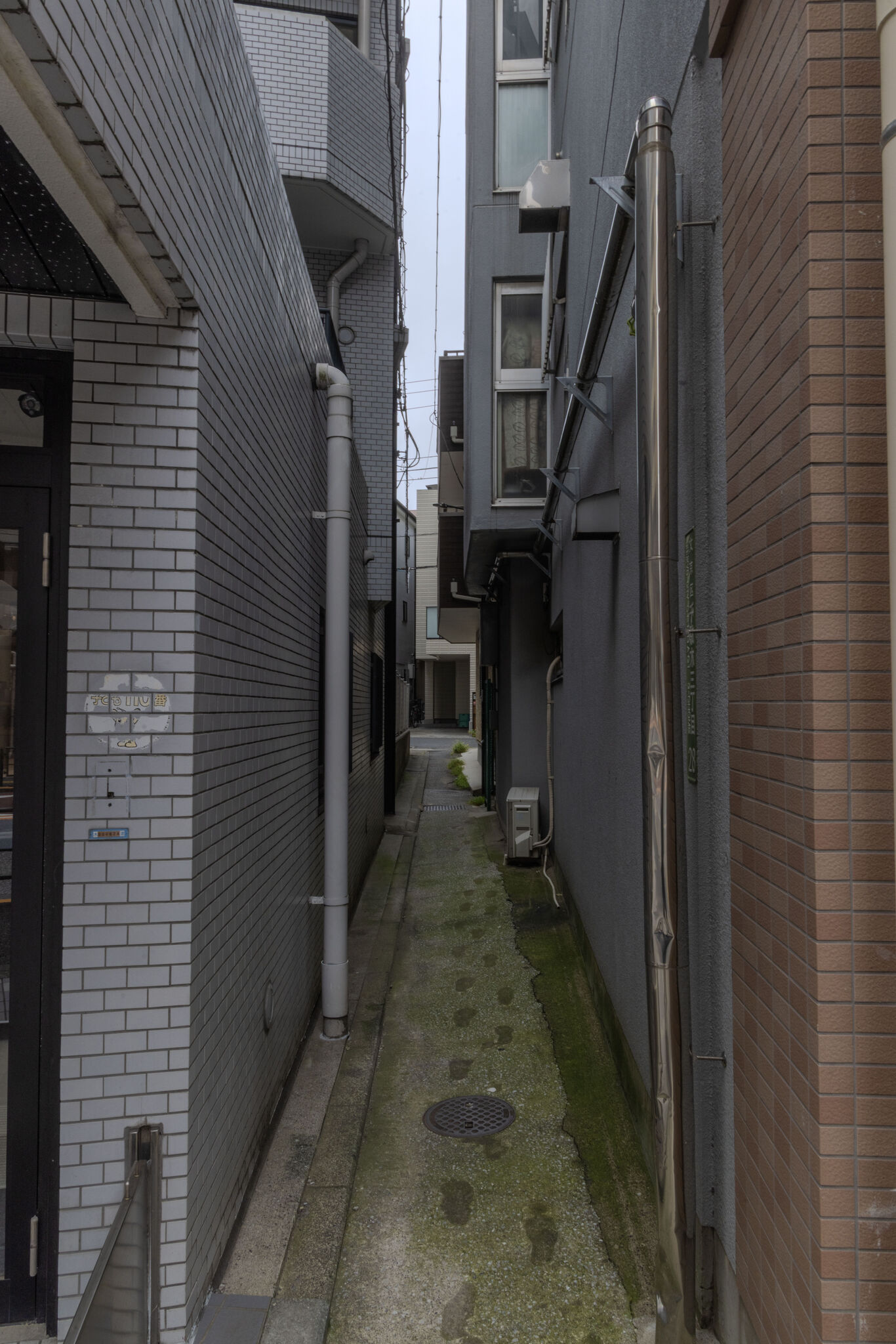 Large image
