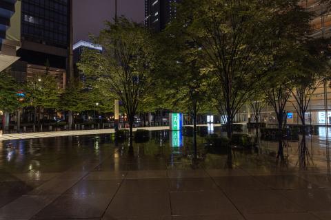 Photograph by Scott Joyce