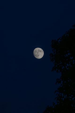 Photograph by Scott Joyce