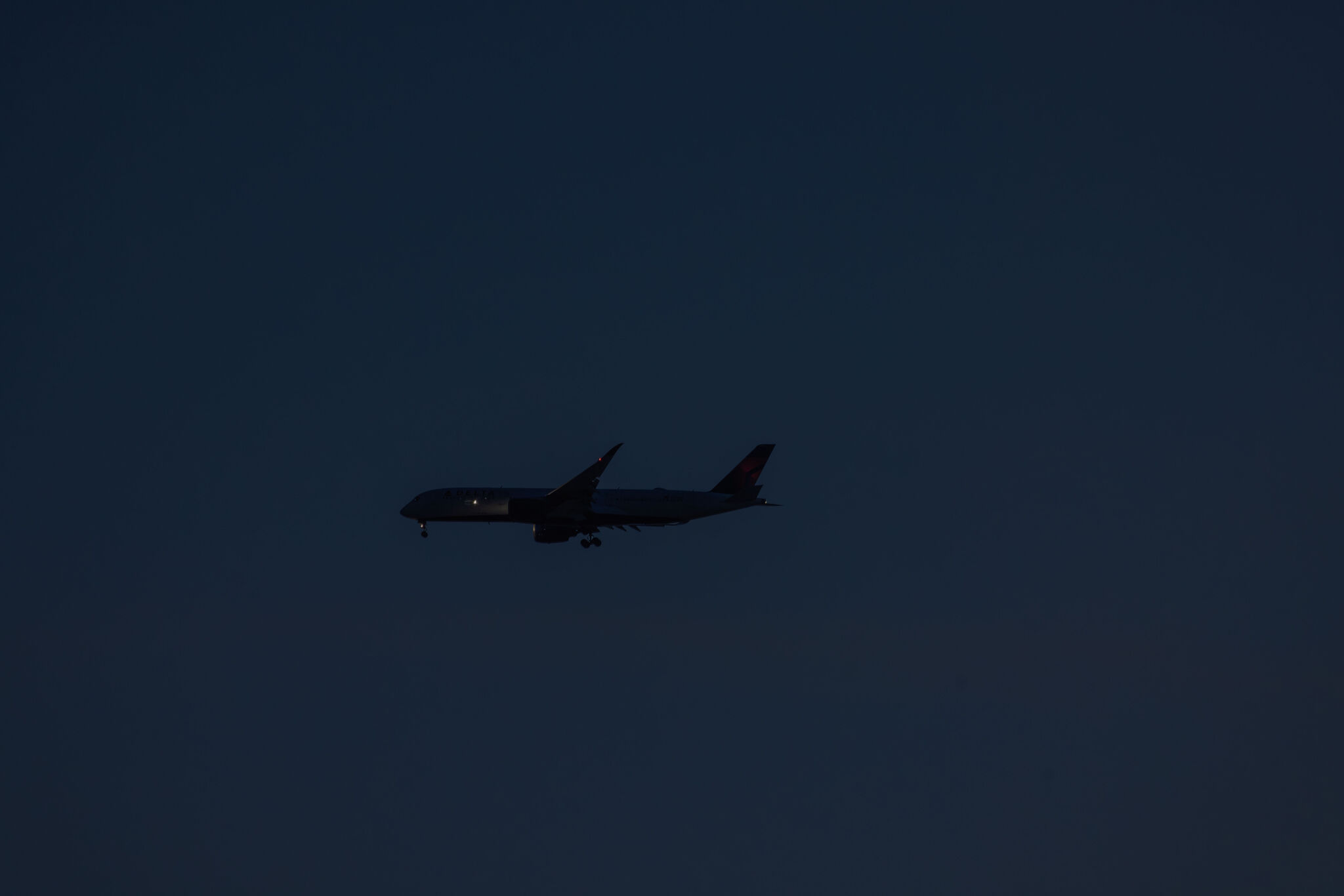 Large image