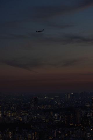 Photograph by Scott Joyce