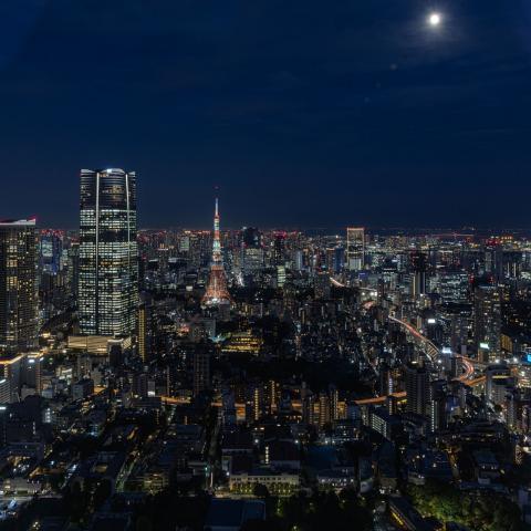 Photograph by Scott Joyce
