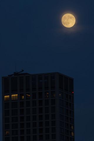 Photograph by Scott Joyce