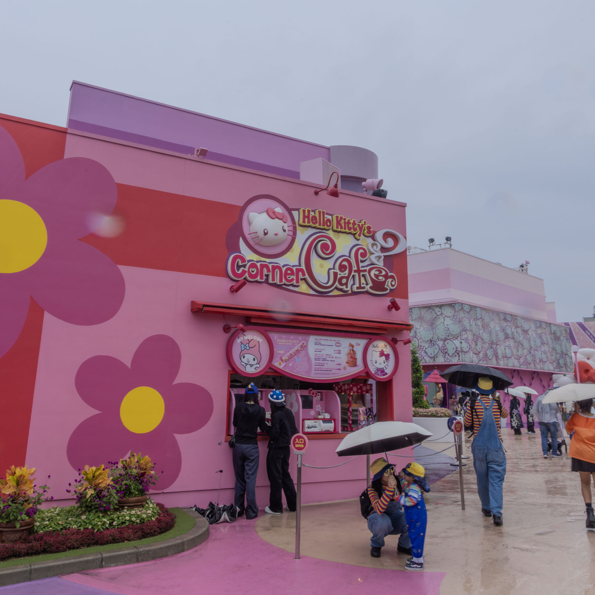 Large image