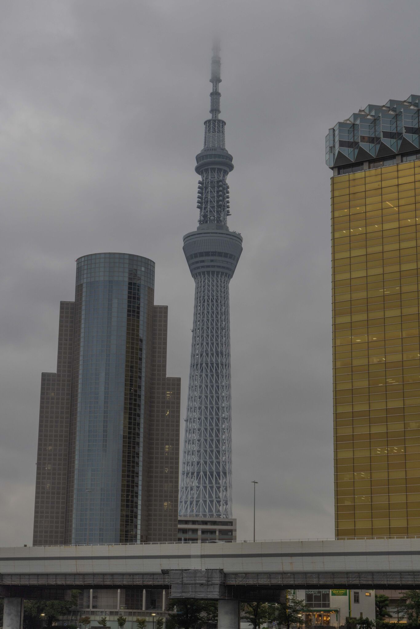 Large image