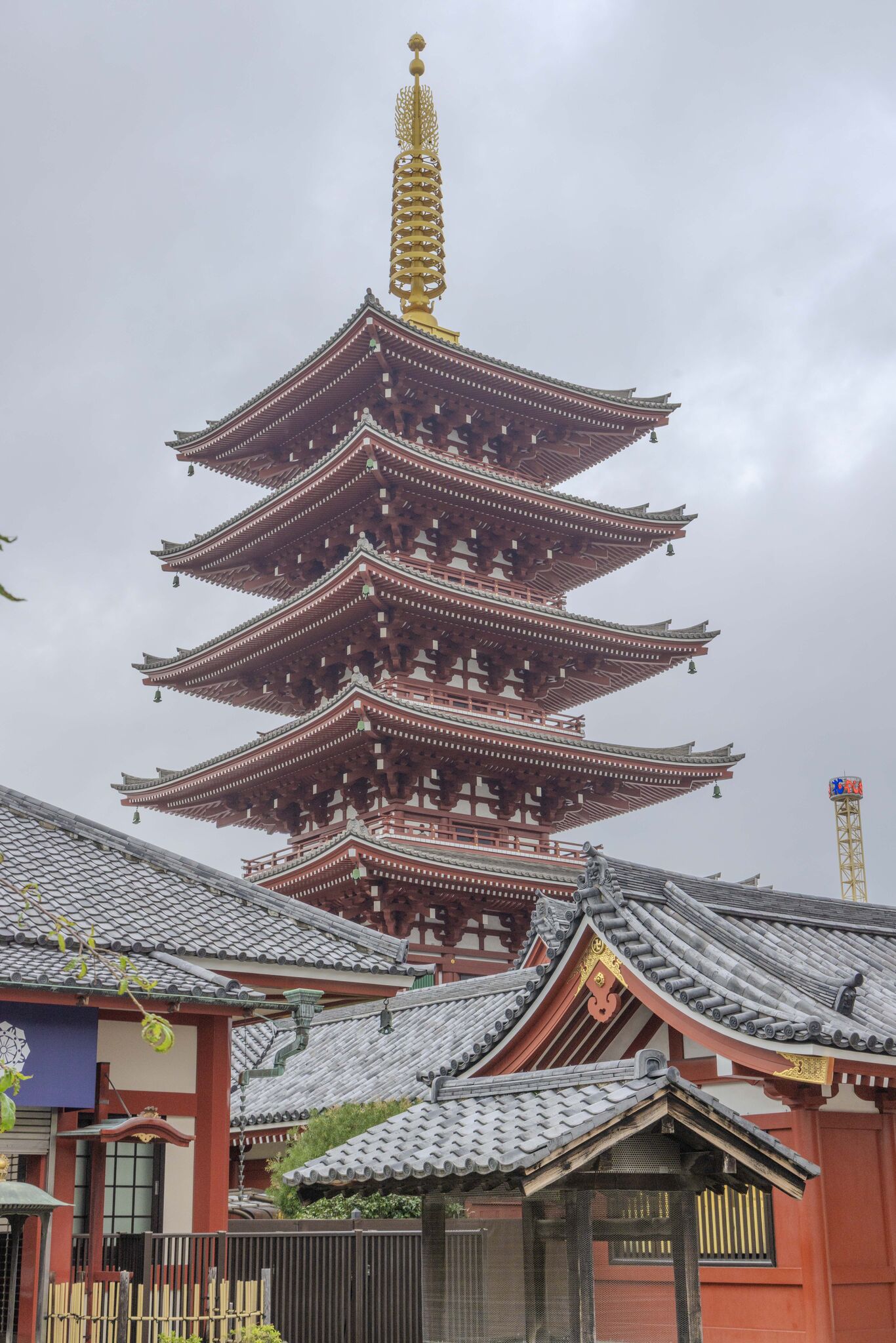 Large image