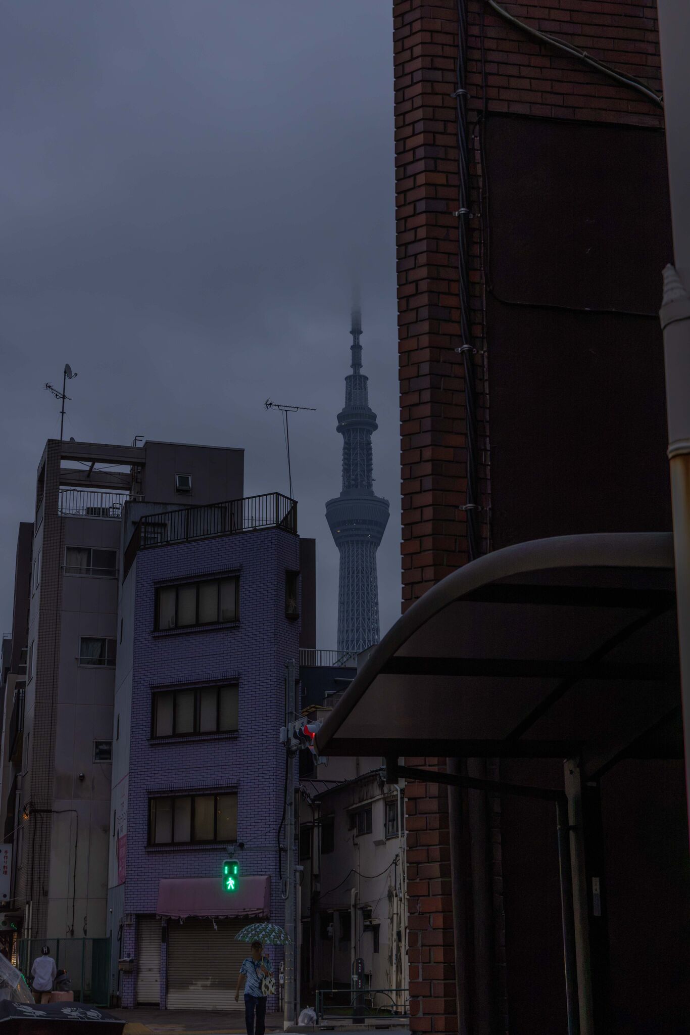 Large image