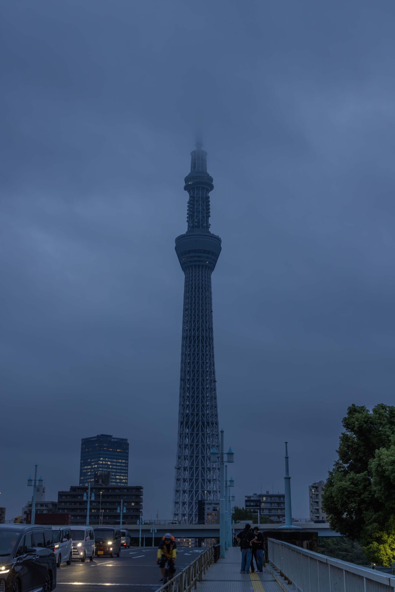 Large image