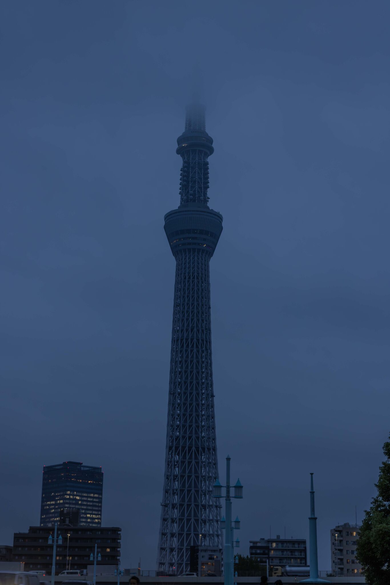Large image