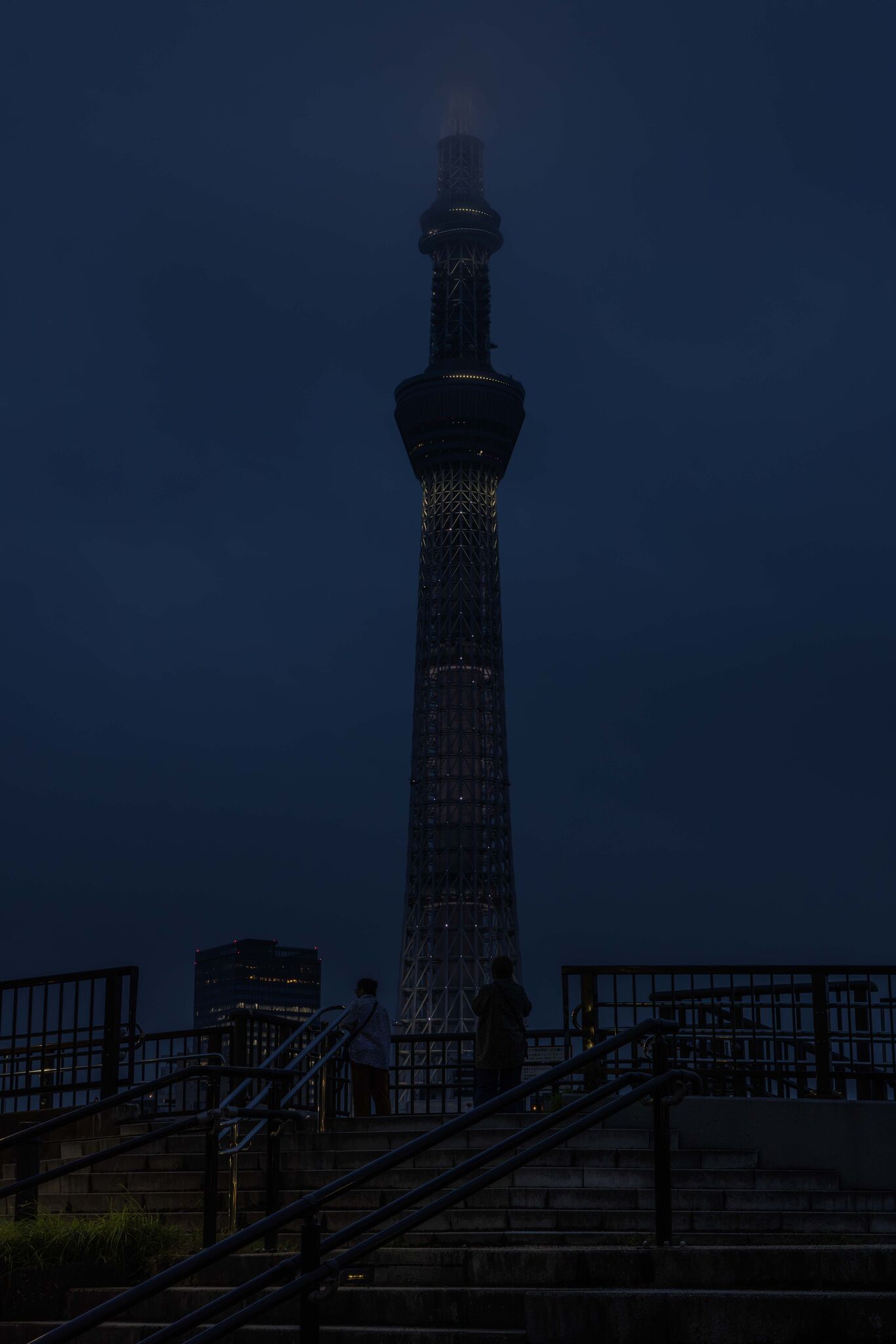 Large image
