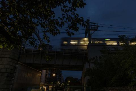 Photograph by Scott Joyce