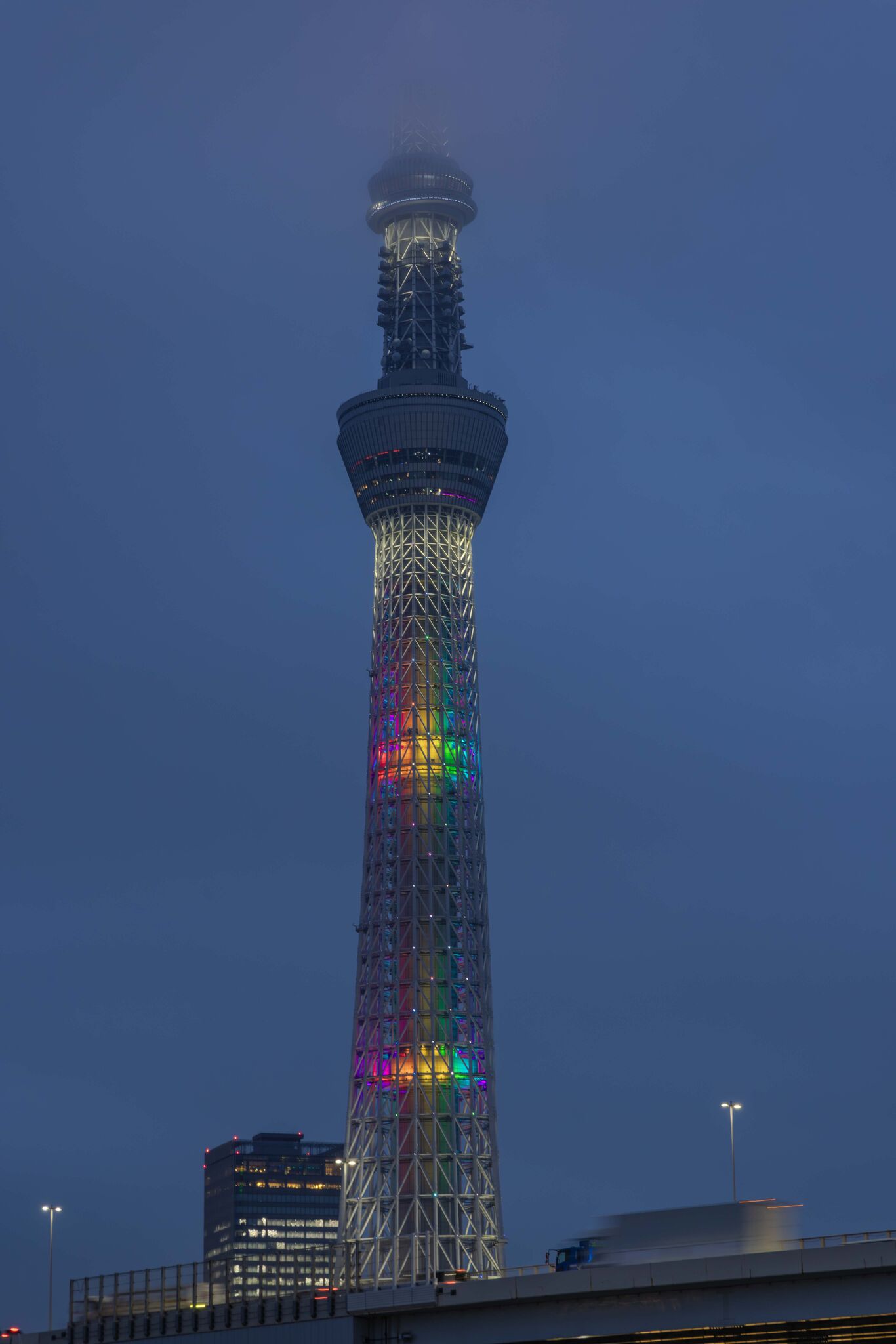 Large image