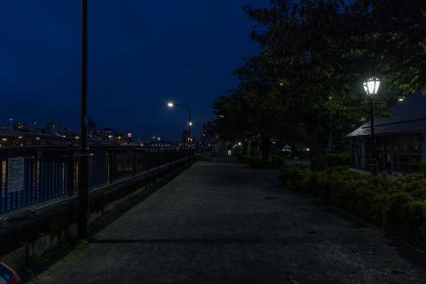 Photograph by Scott Joyce