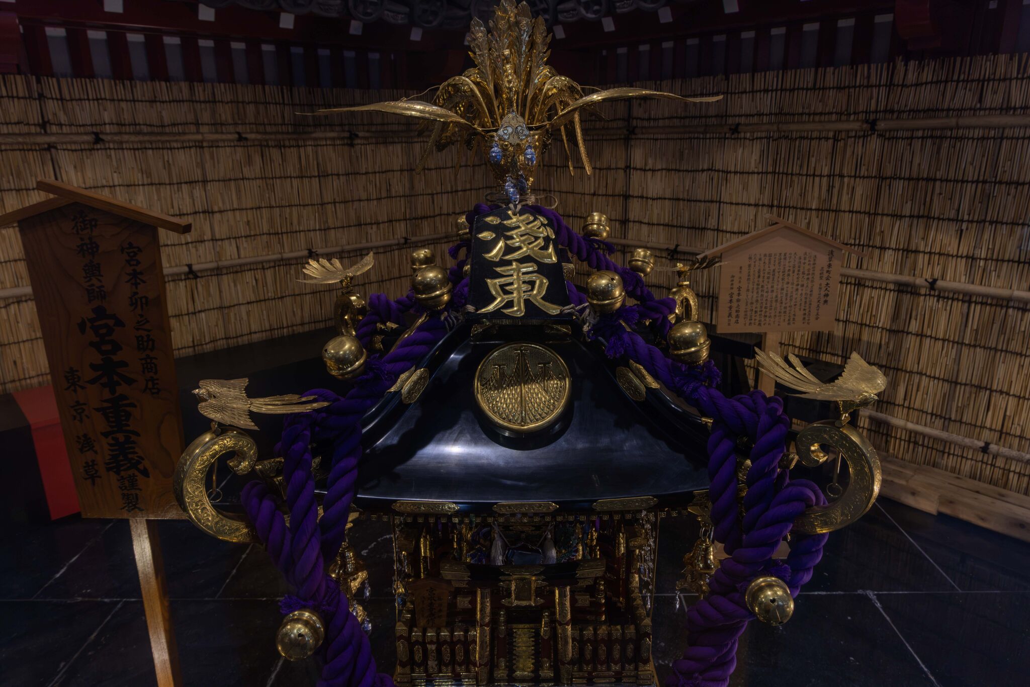 Large image