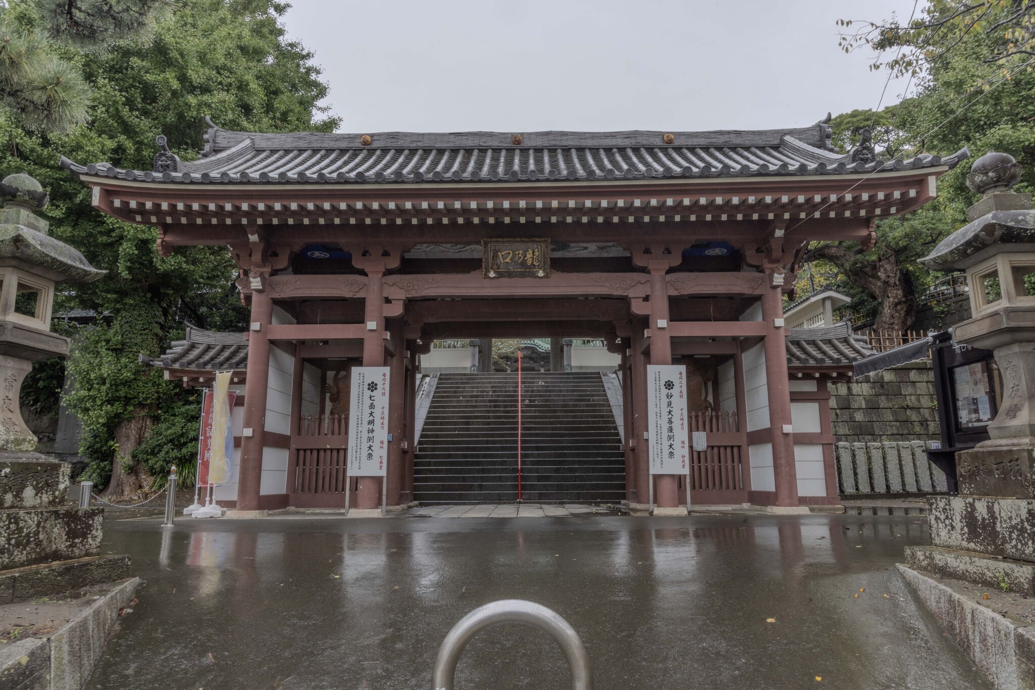 Large image