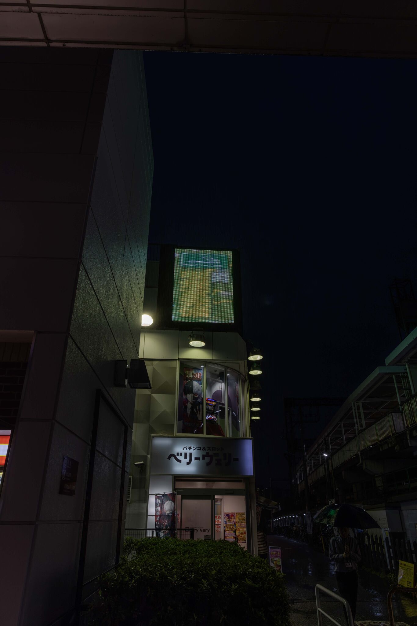 Large image