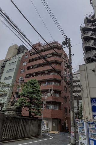 Photograph by Scott Joyce