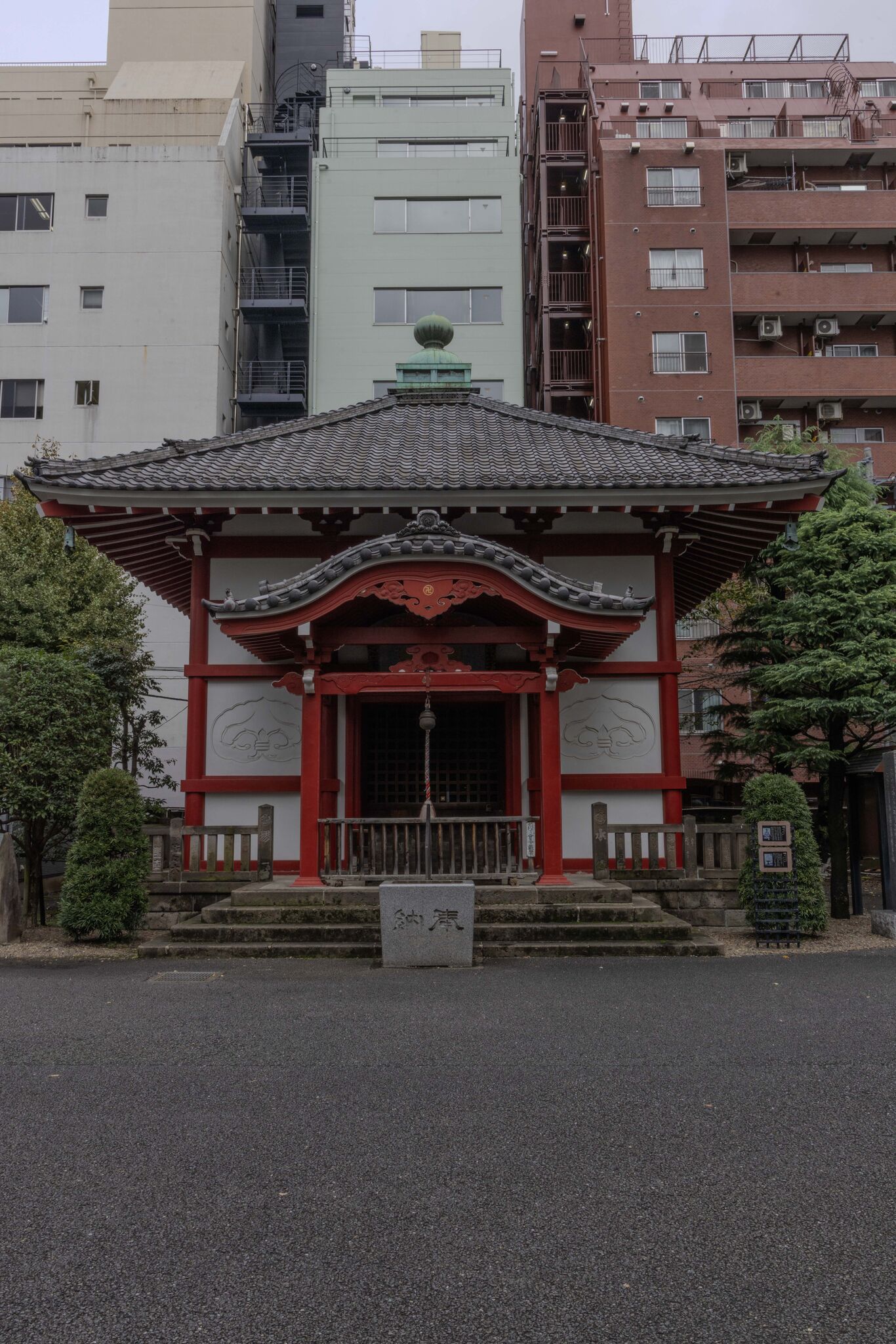 Large image