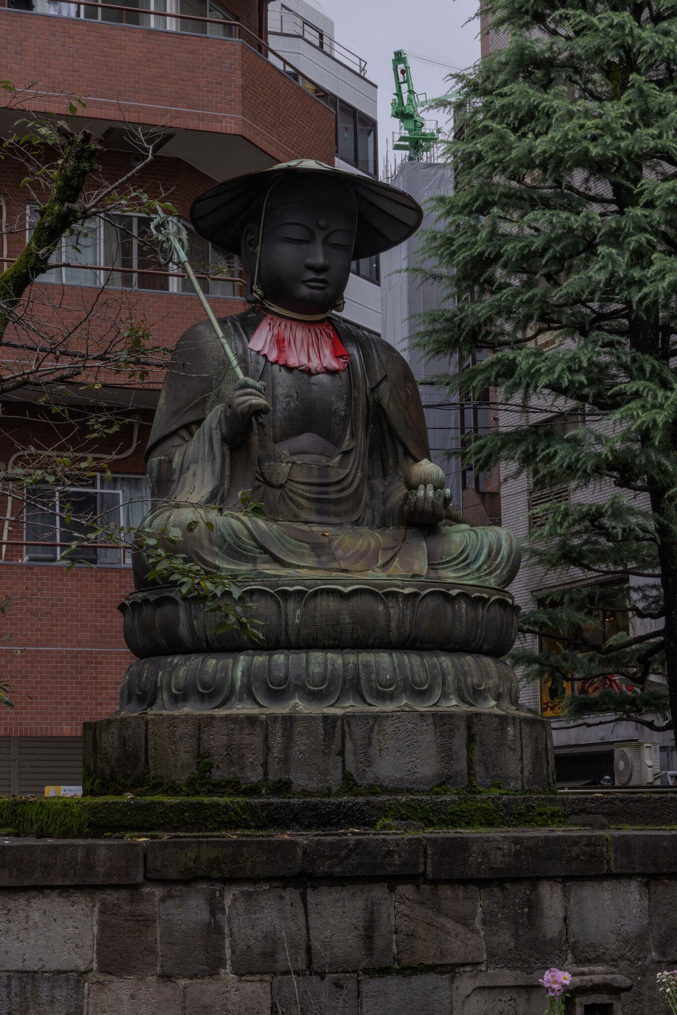 Large image