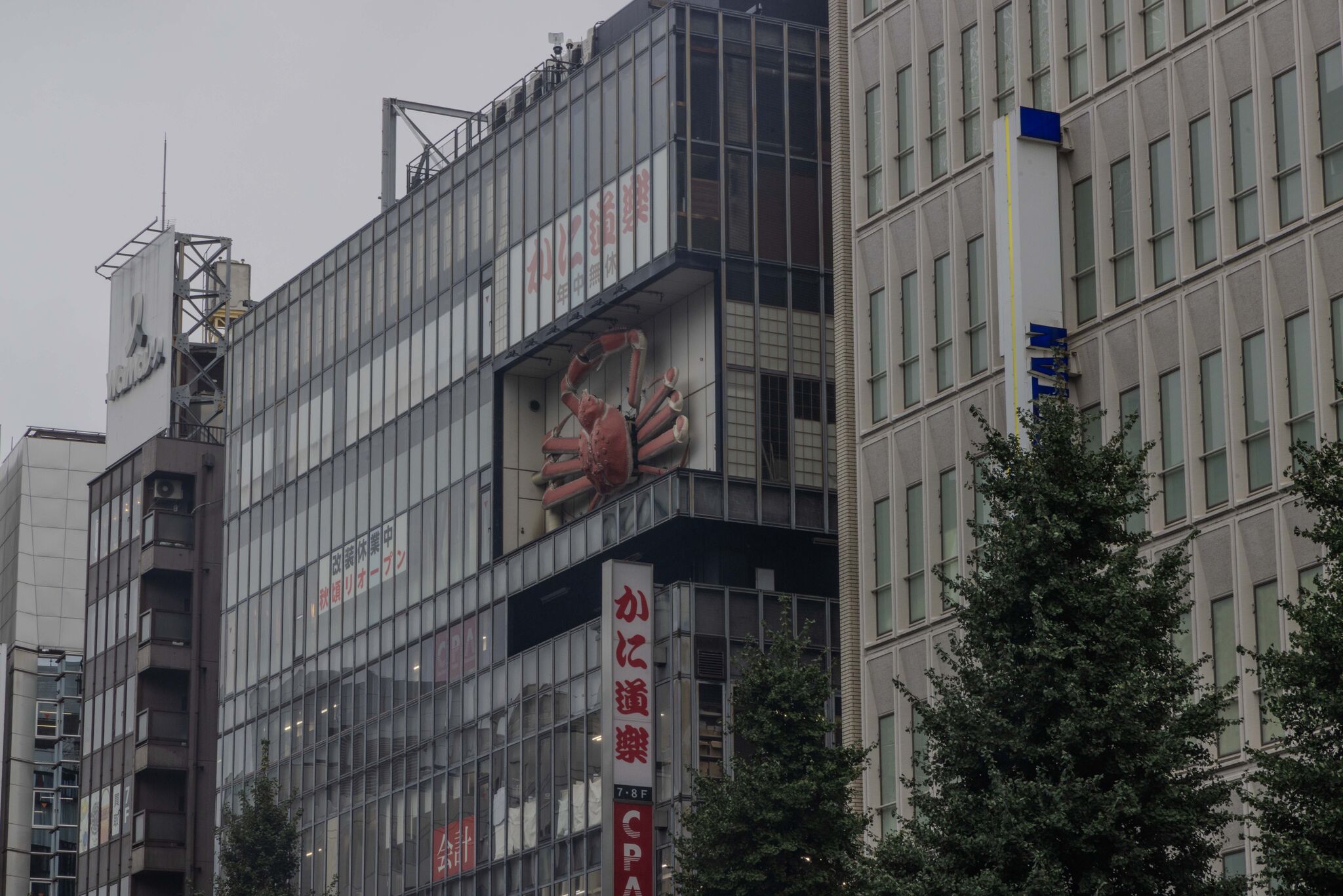 Large image