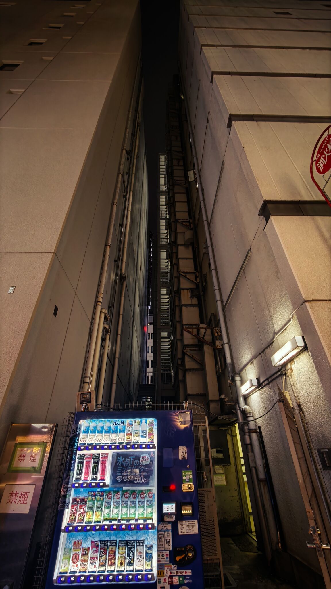 Large image