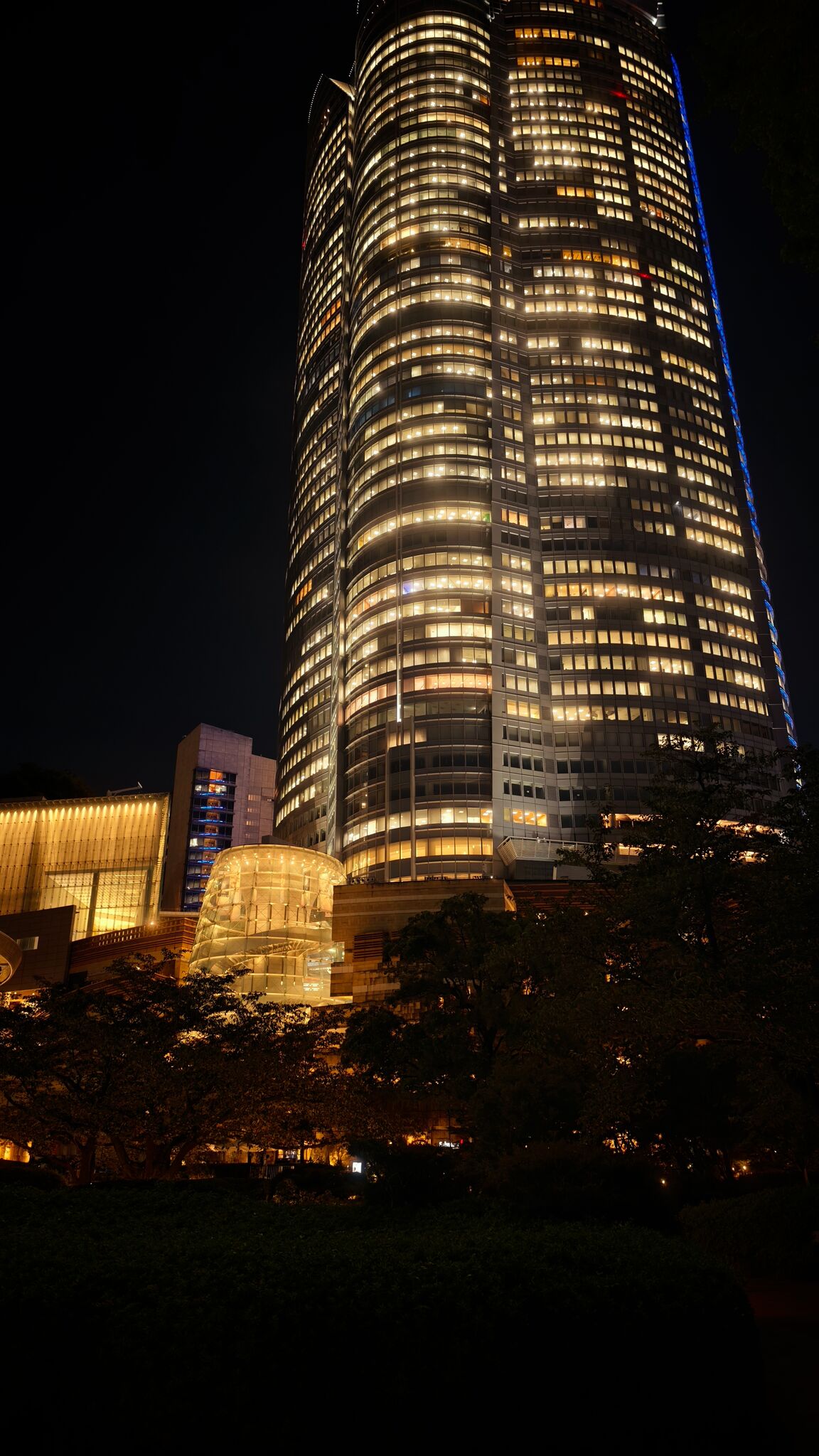 Large image