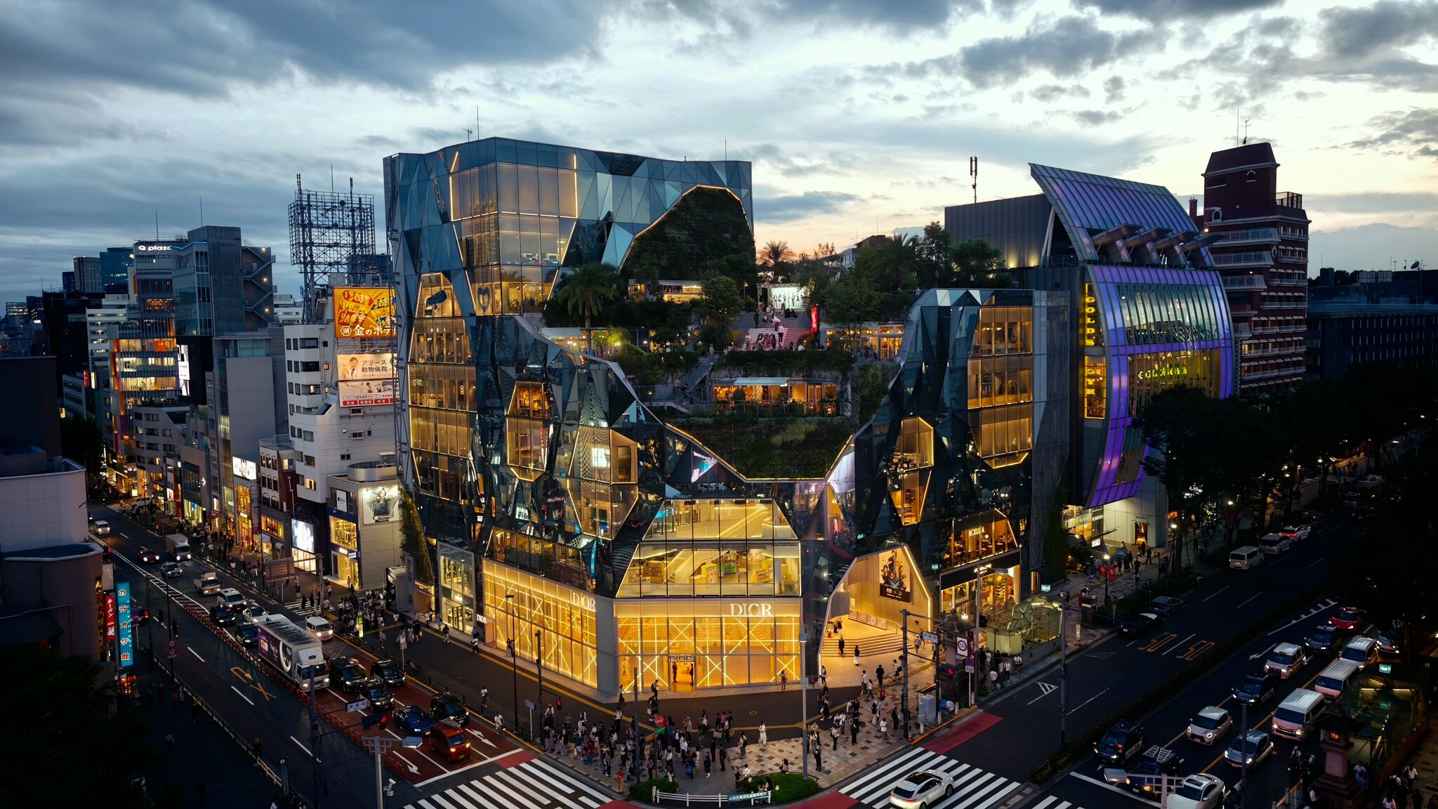Large image