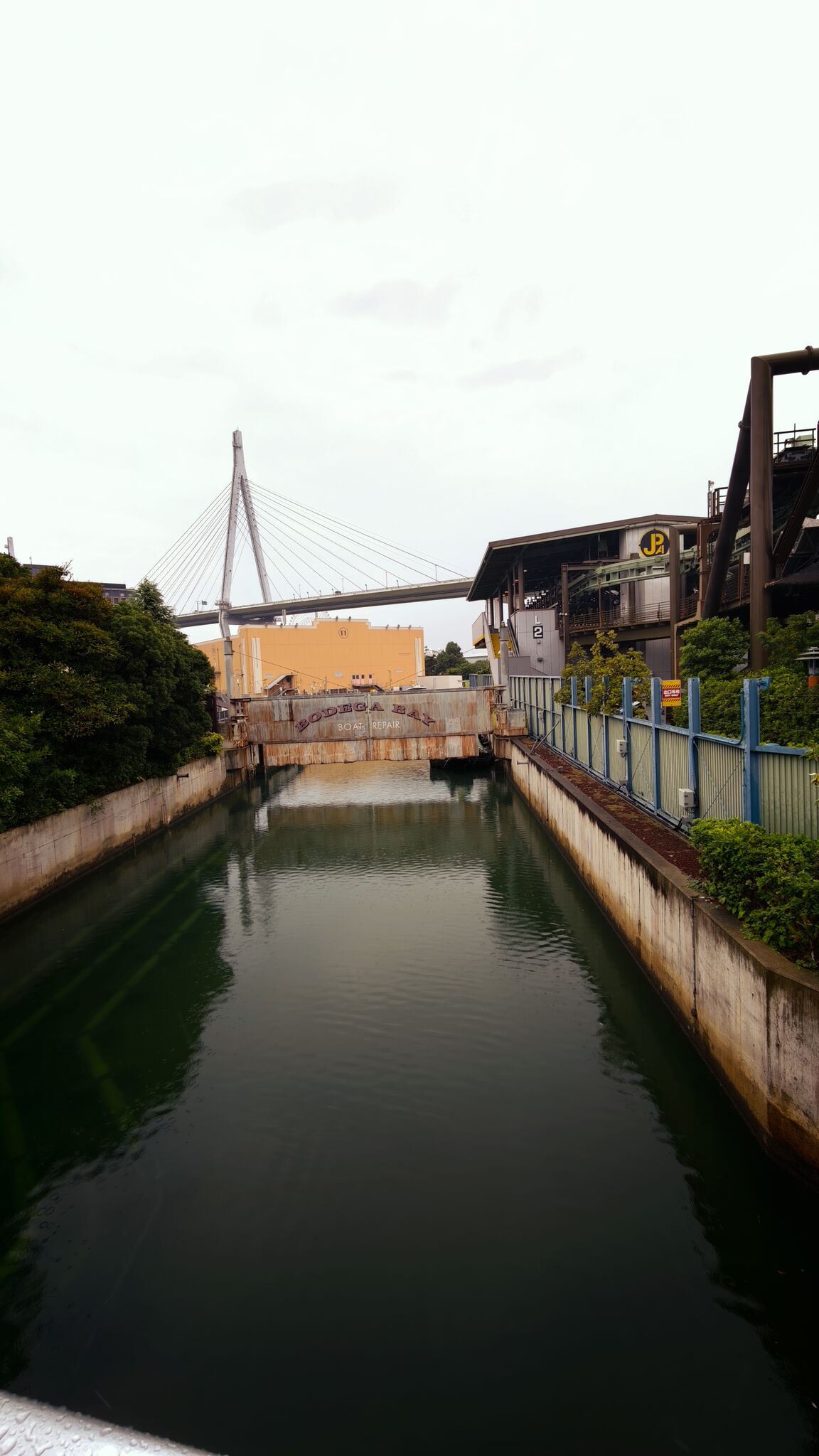 Large image